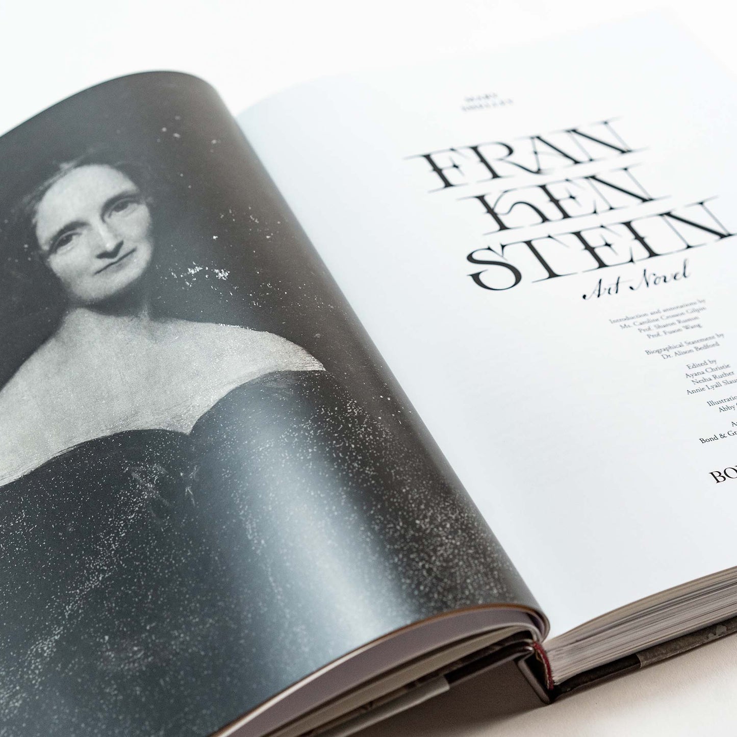 Frankenstein Art Novel