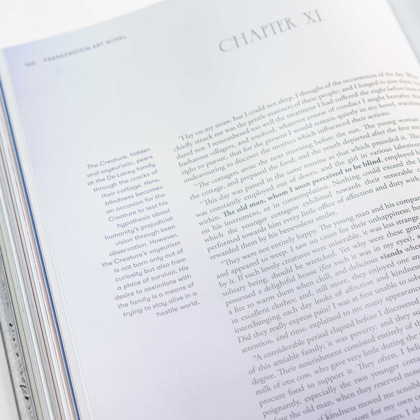 Frankenstein Art Novel™ Collector's Edition