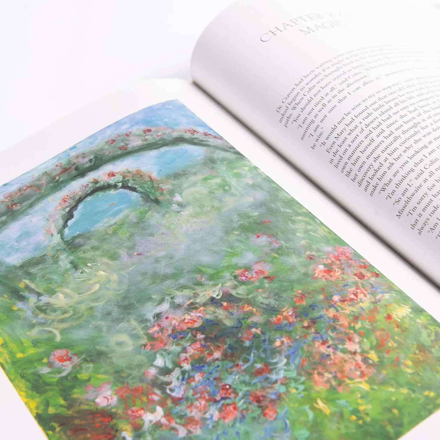 The Secret Garden Art Novel™