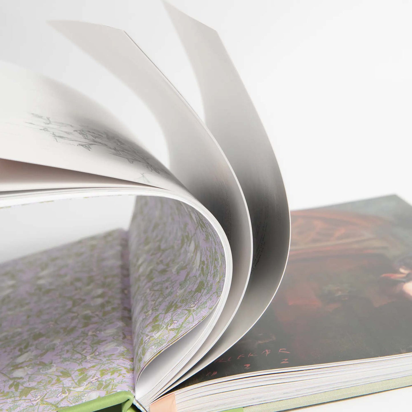 The Secret Garden Art Novel™