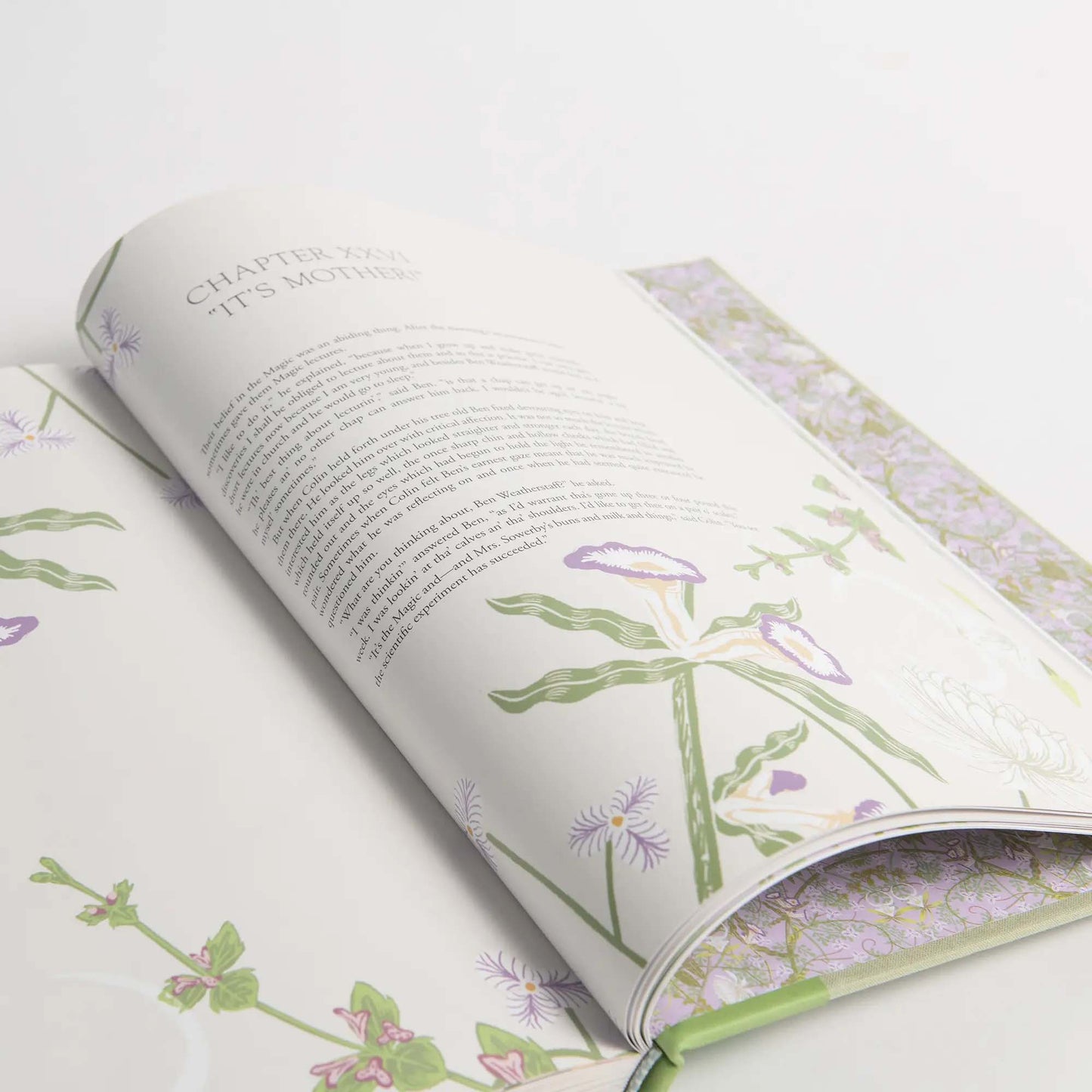 The Secret Garden Art Novel™