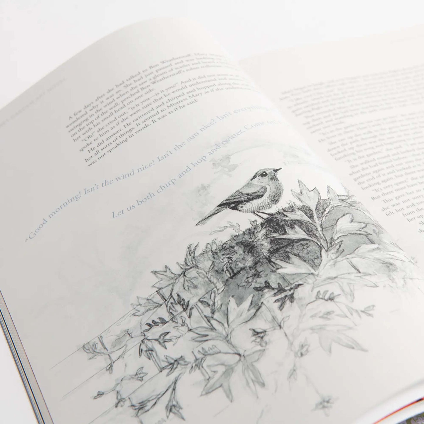 The Secret Garden Art Novel™