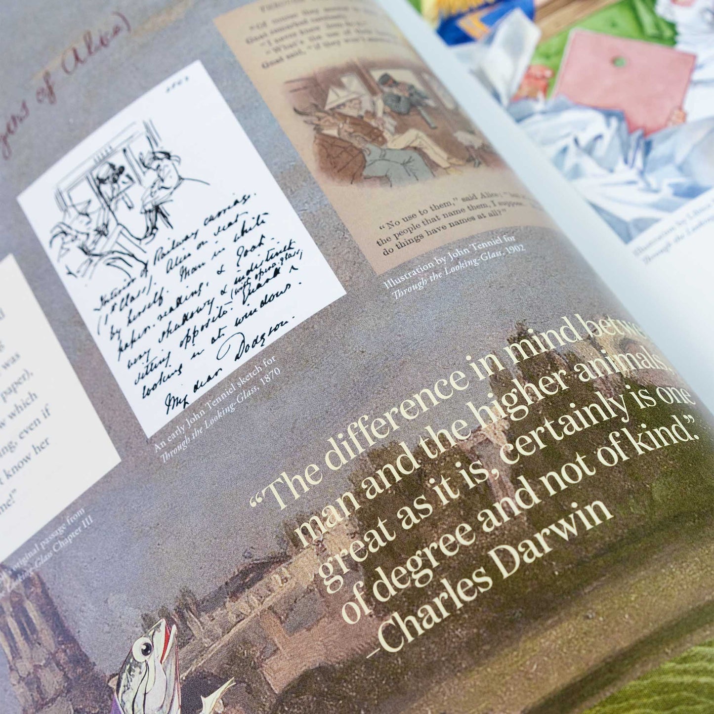 Alice in Wonderland Art Novel™ Collector's Edition