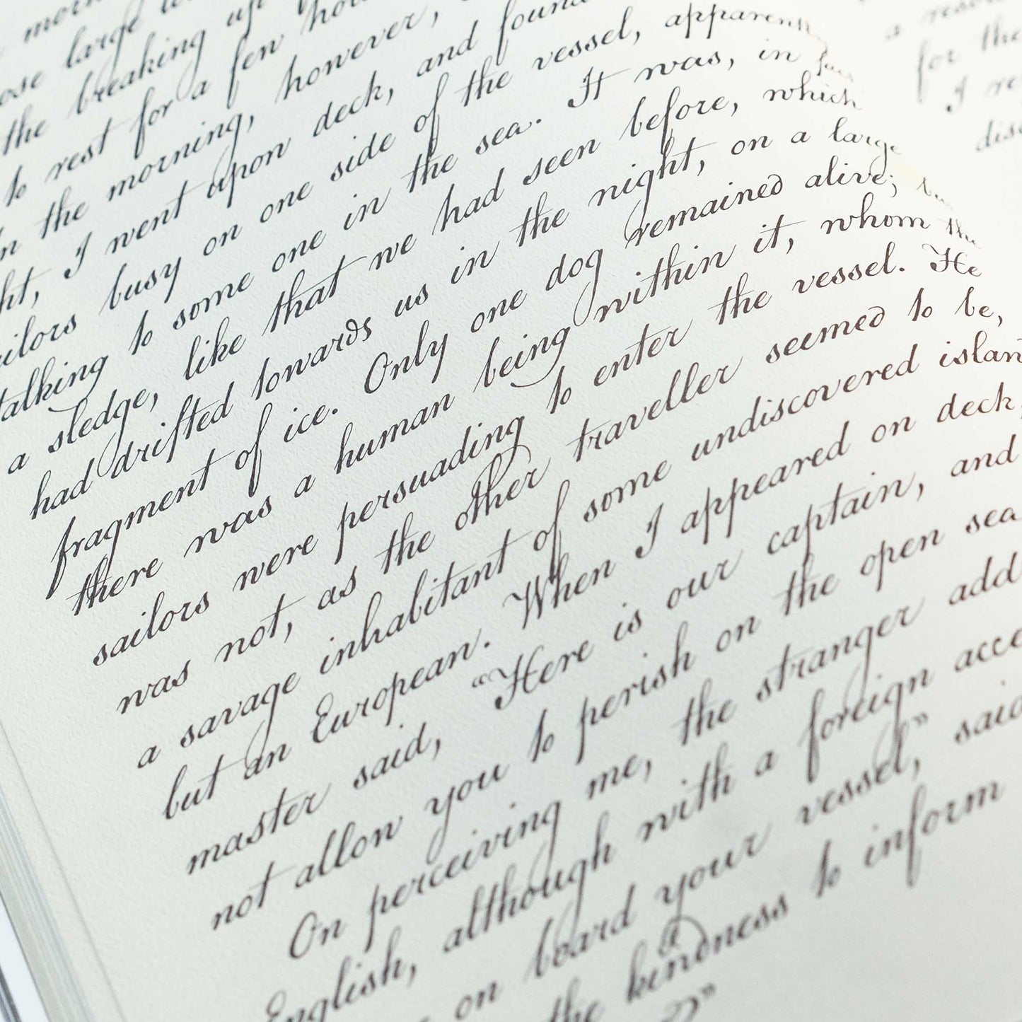 Frankenstein Art Novel