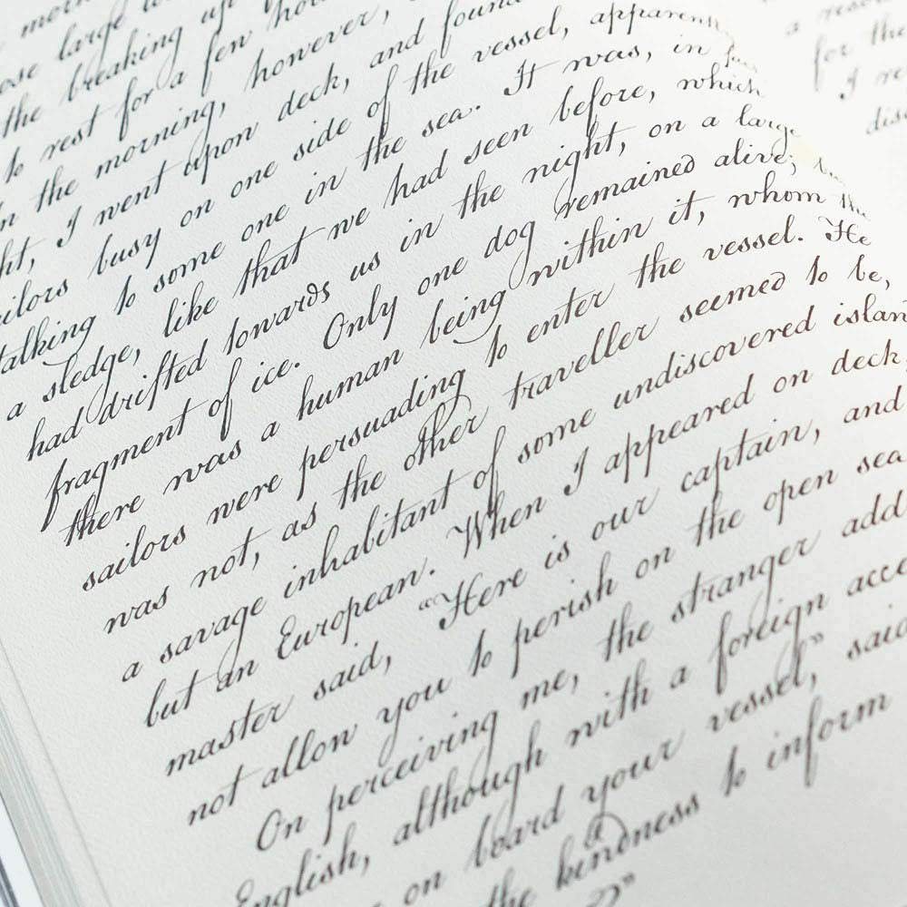 Frankenstein Art Novel™