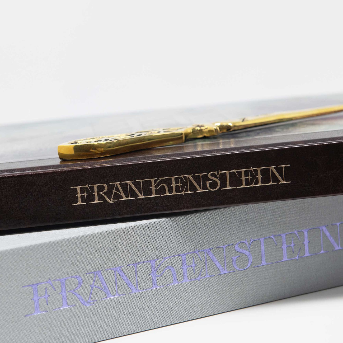 Frankenstein Art Novel™ Collector's Edition
