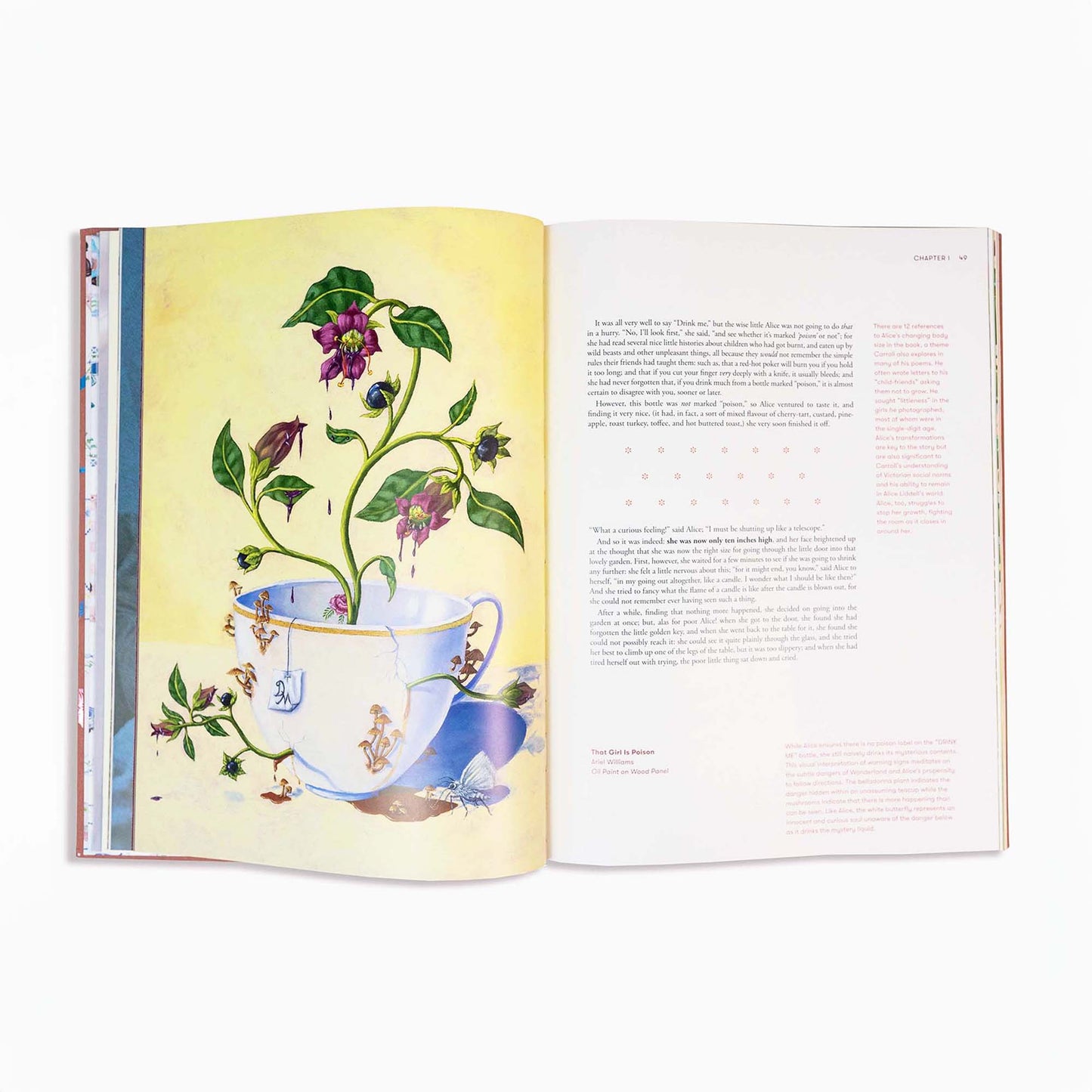 Alice in Wonderland Art Novel™ Collector's Edition
