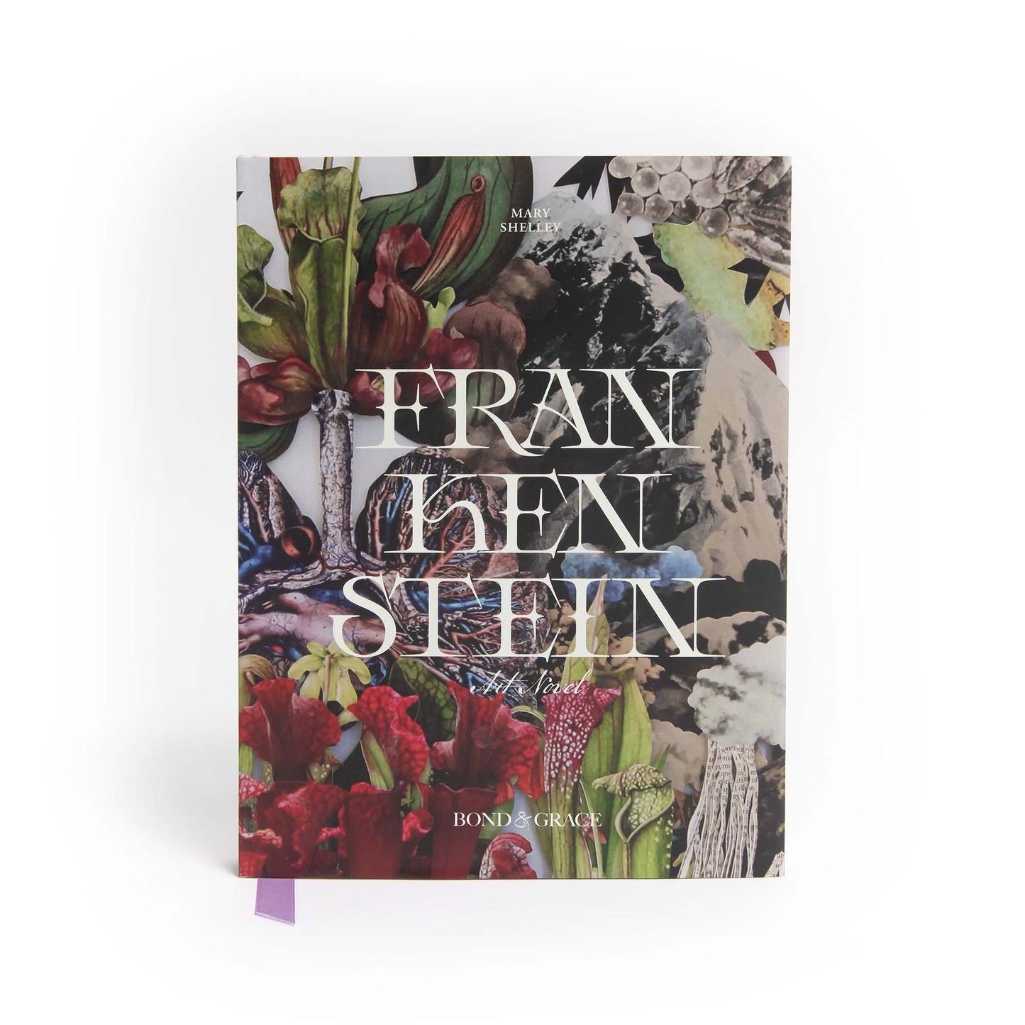 Frankenstein Art Novel