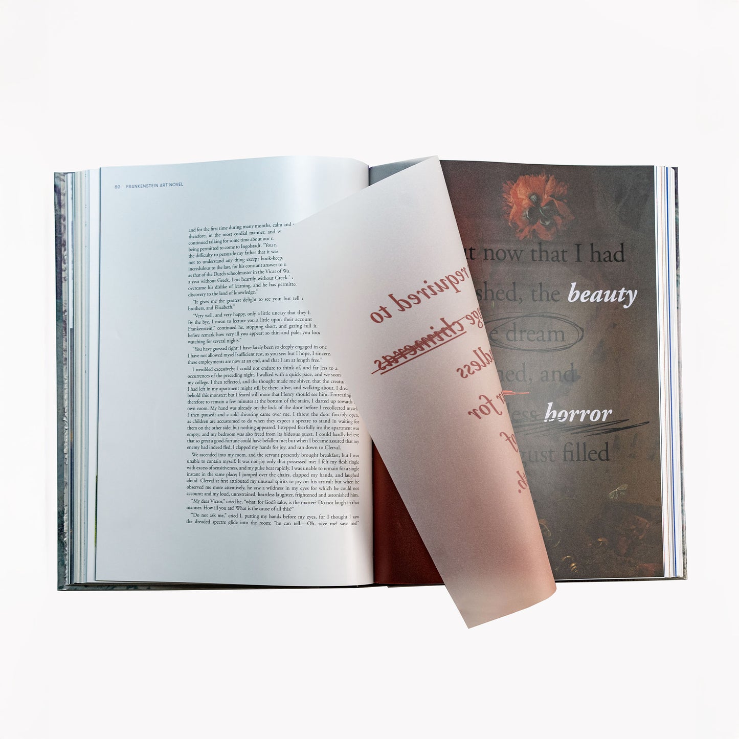 Frankenstein Art Novel