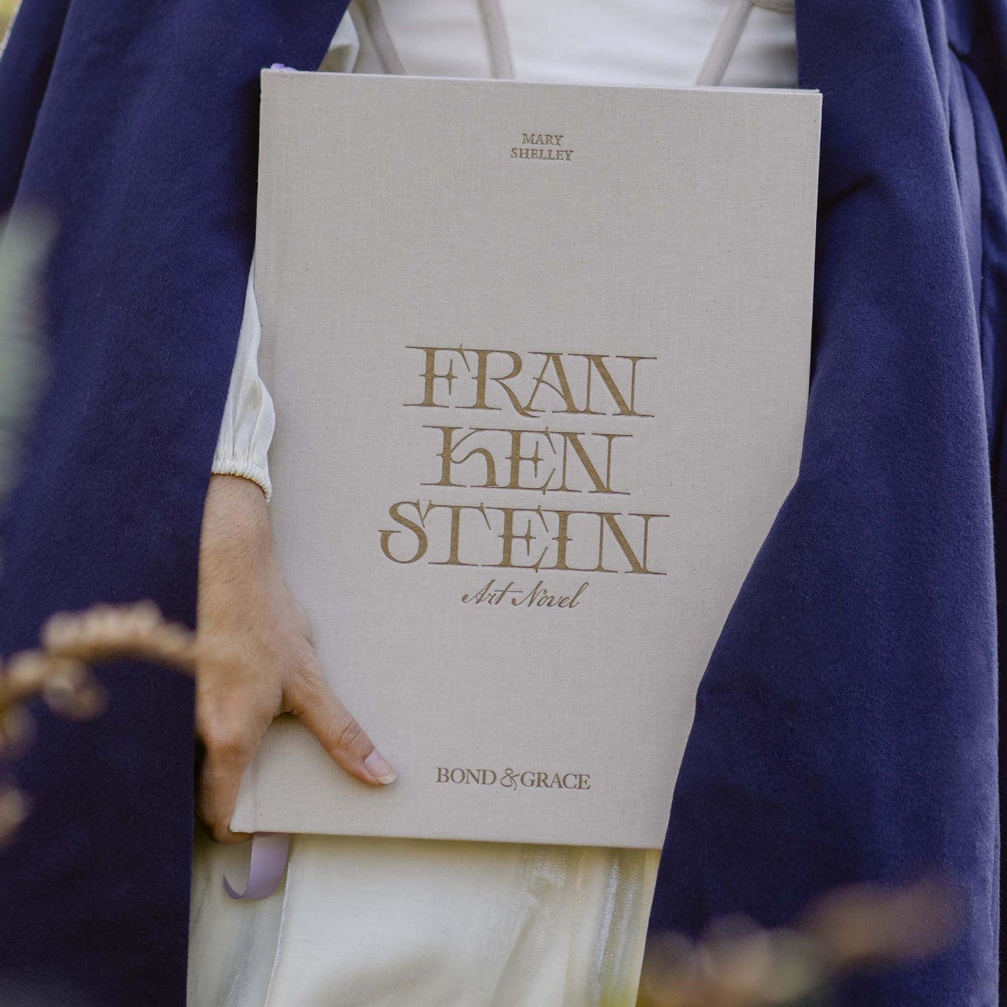 Frankenstein Art Novel
