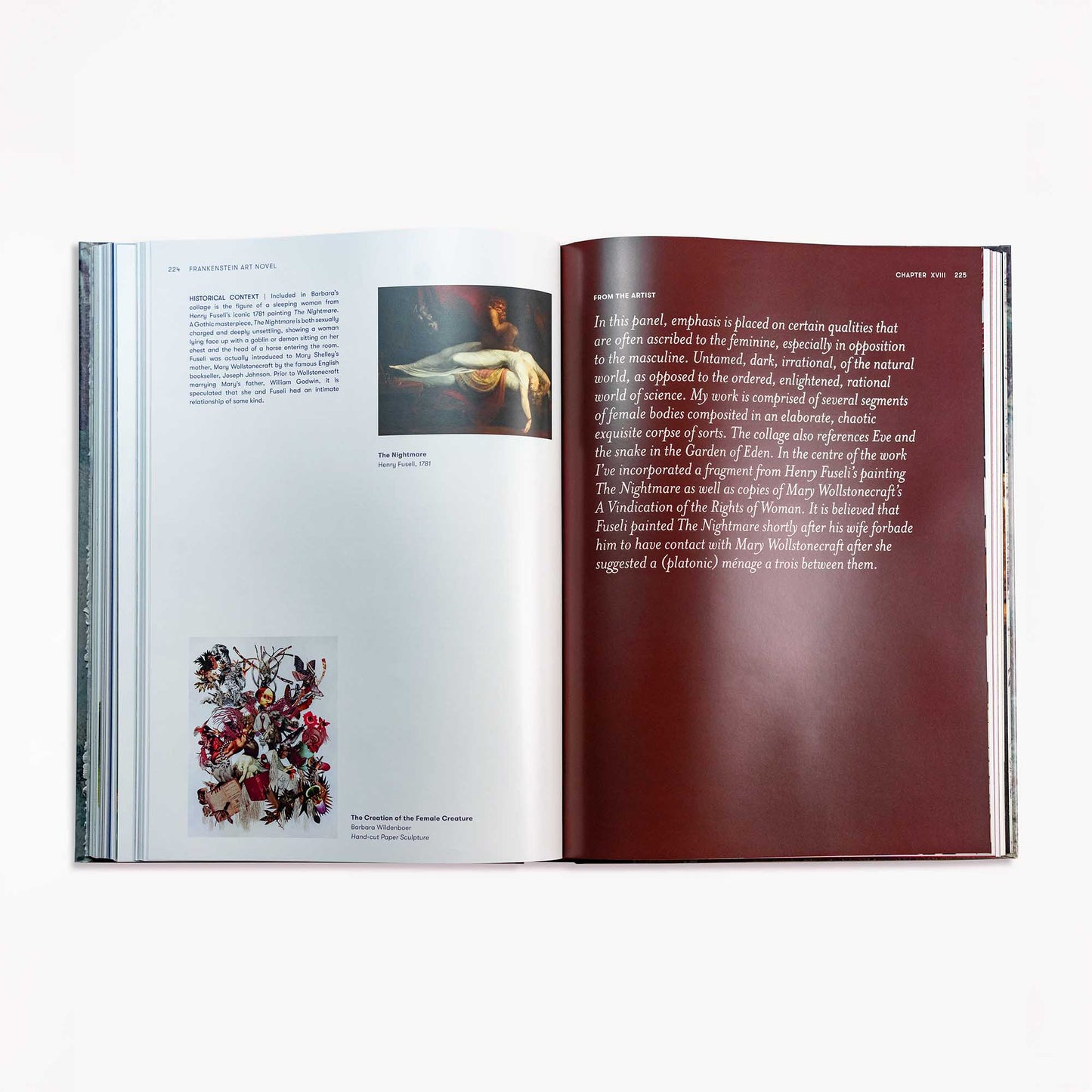 Frankenstein Art Novel