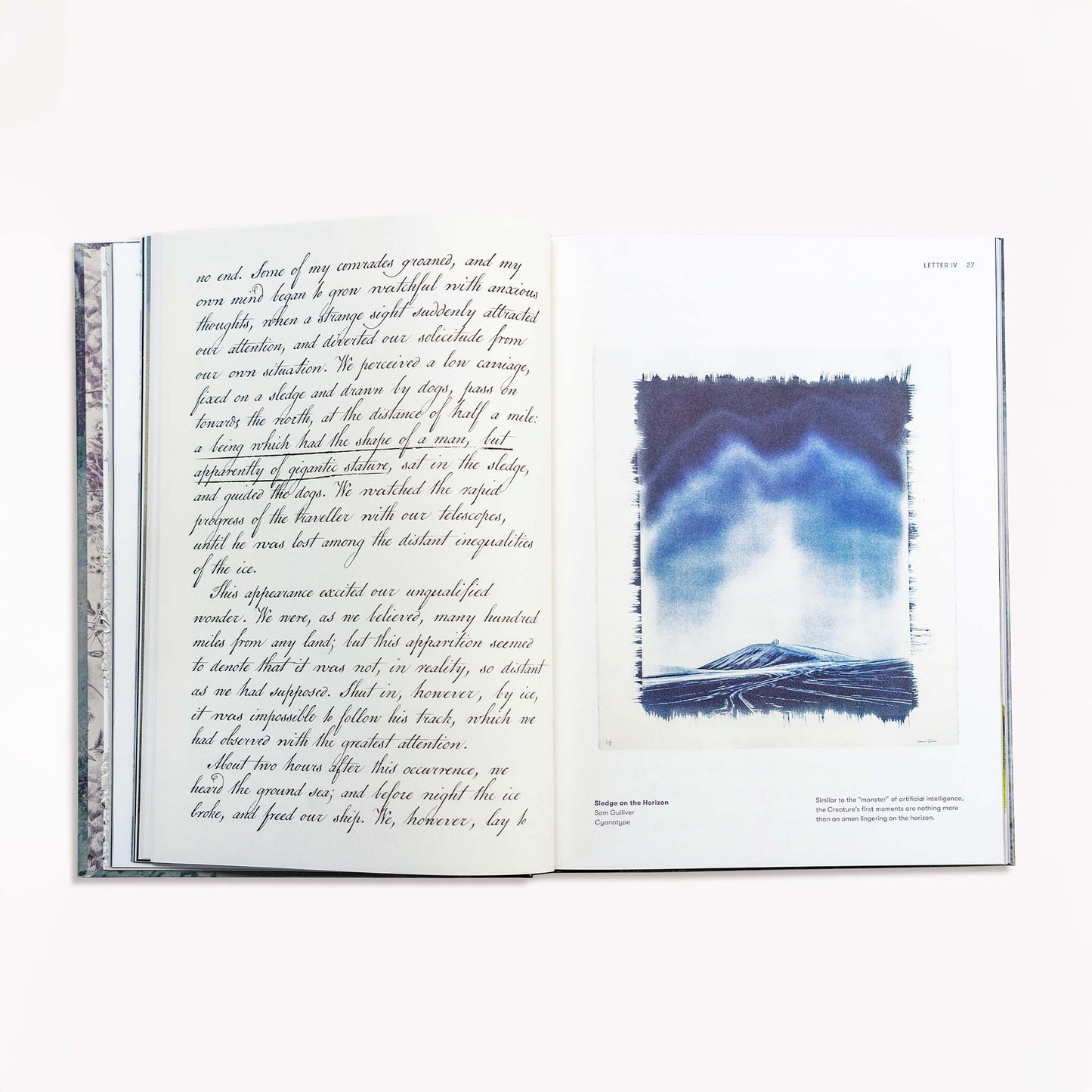 Frankenstein Art Novel