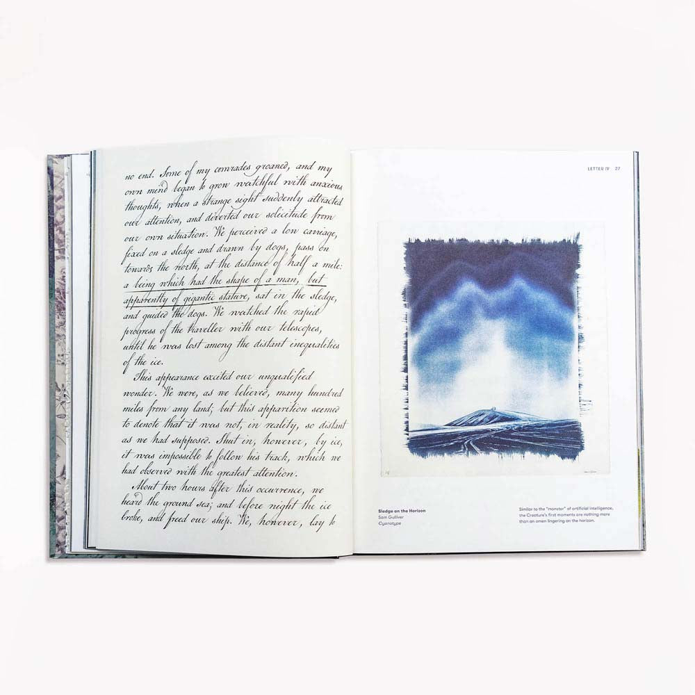 Frankenstein Art Novel™