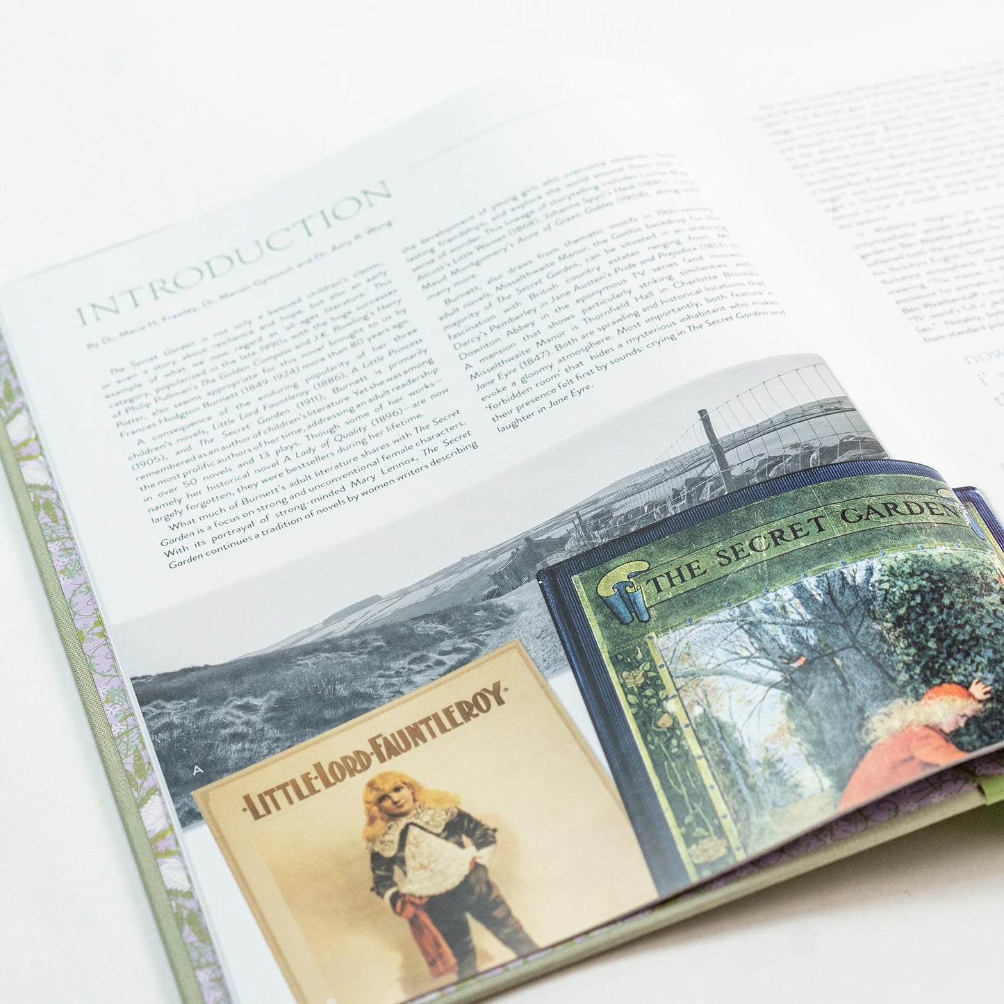 The Secret Garden Art Novel™