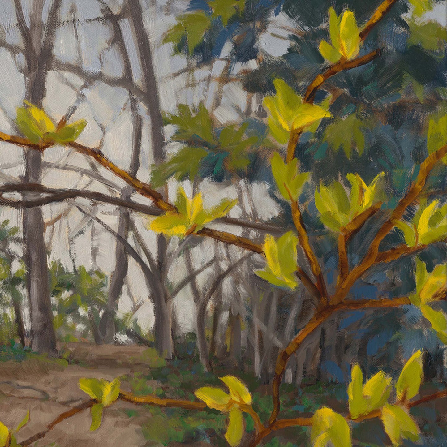 A Distant Hope by Anne Corlett
