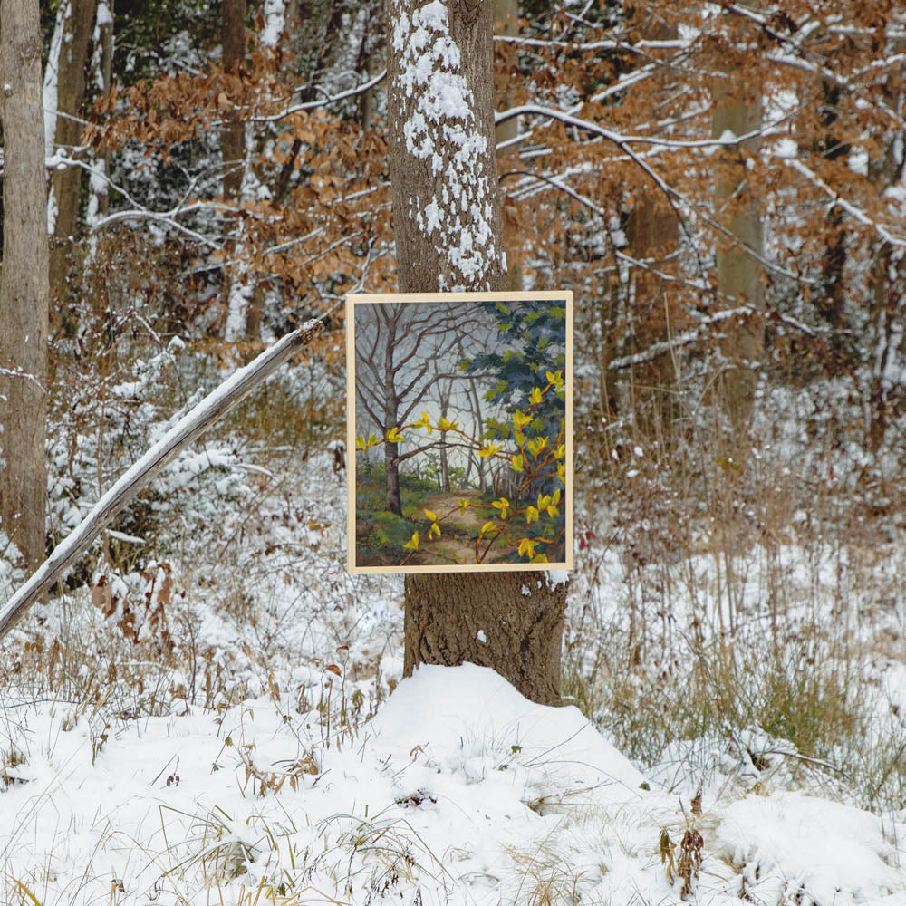 A Distant Hope by Anne Corlett