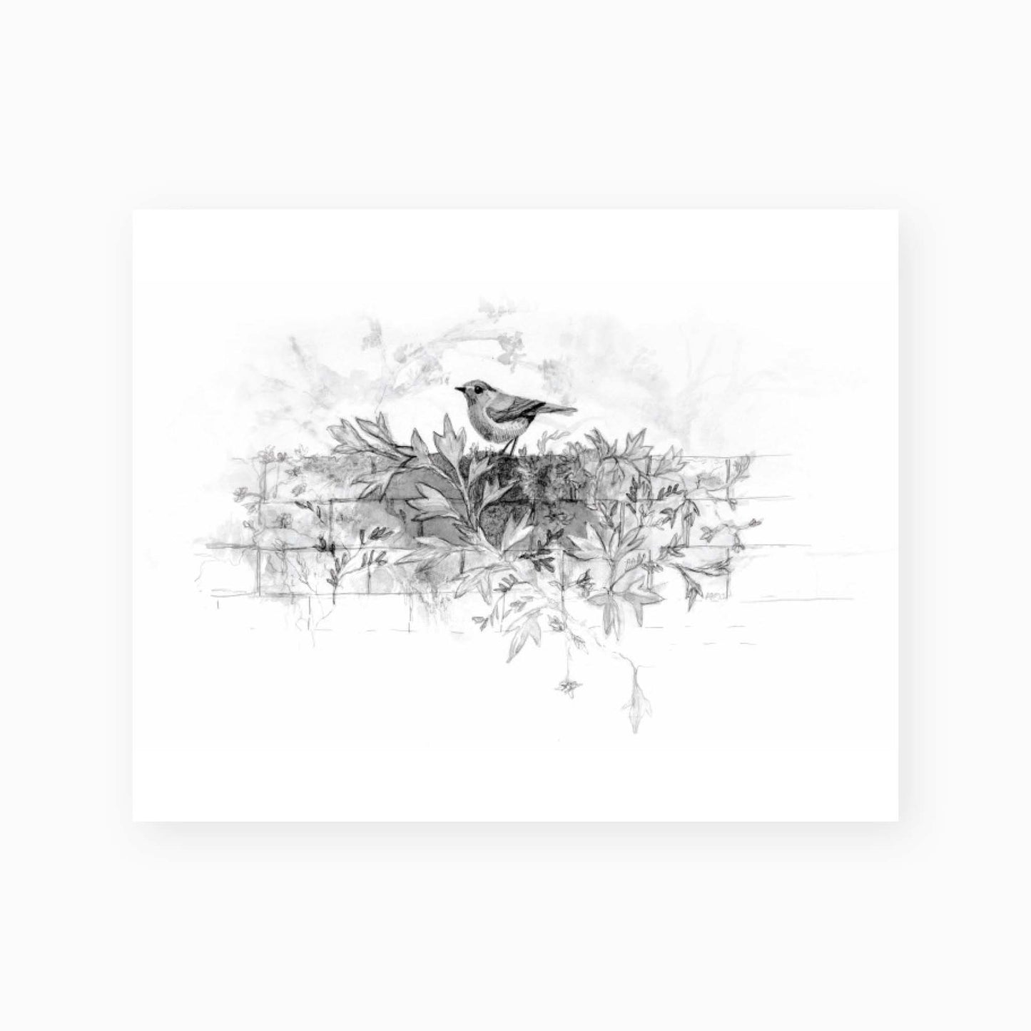 Familiar Art Print