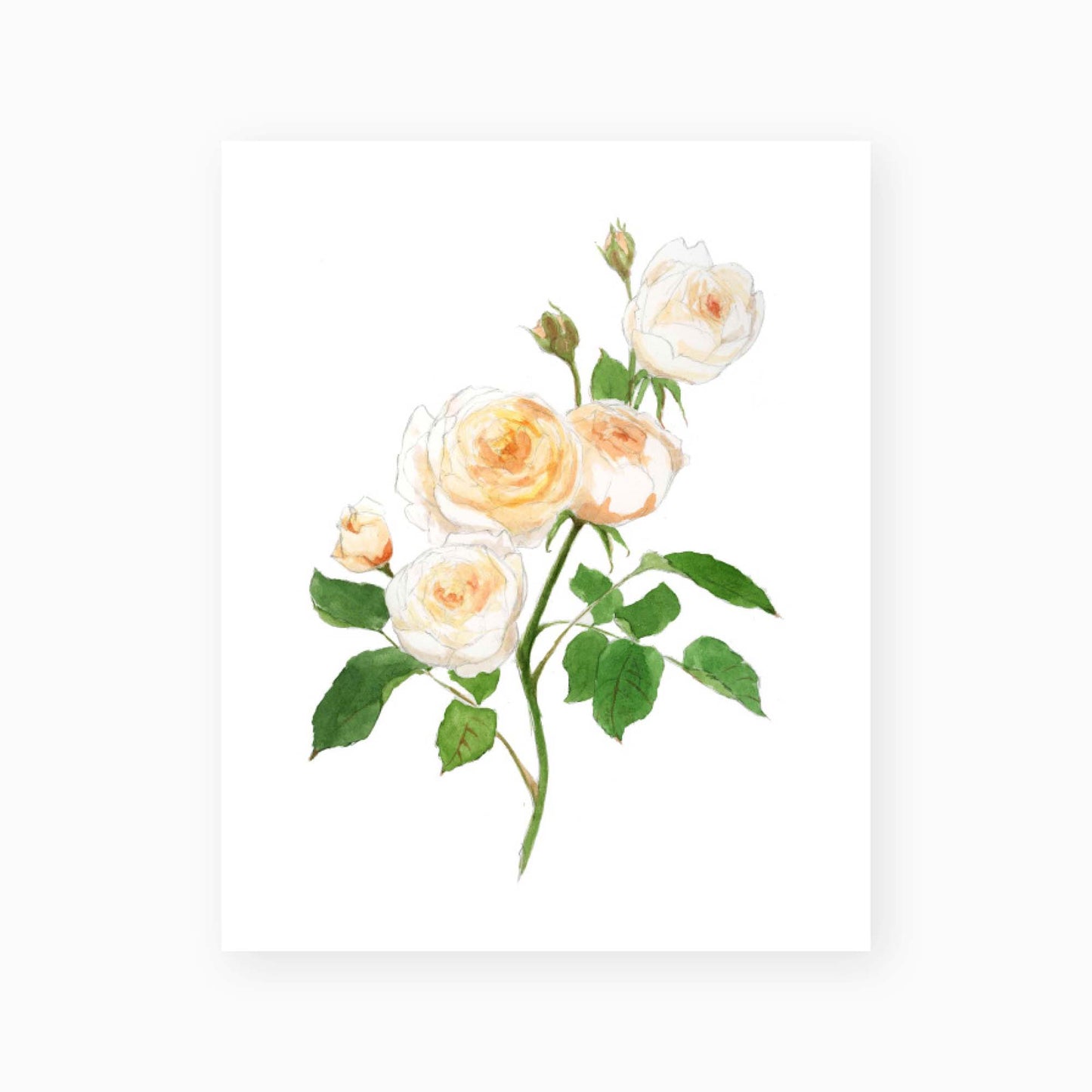 The Rose ll Art Print