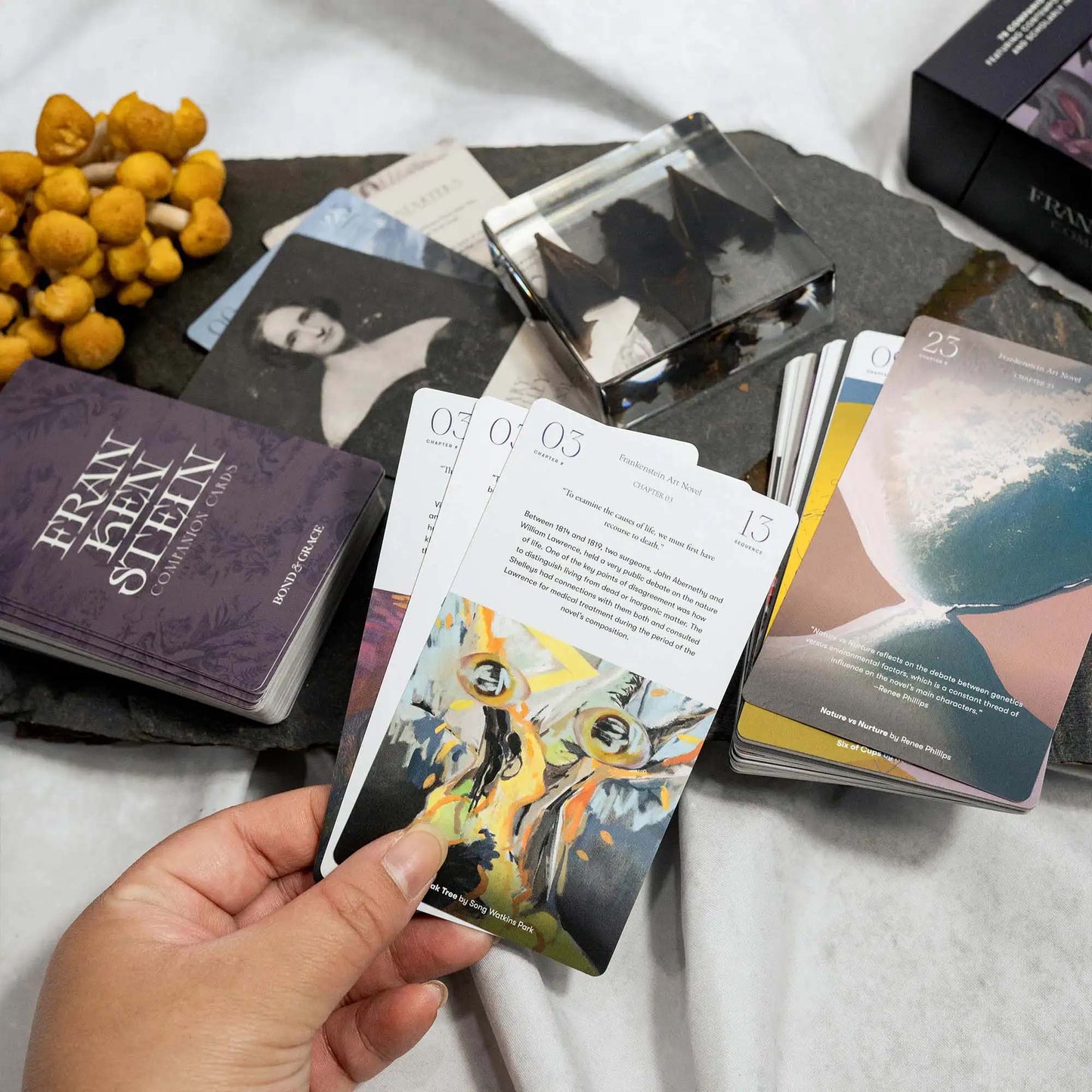 Frankenstein Companion Cards