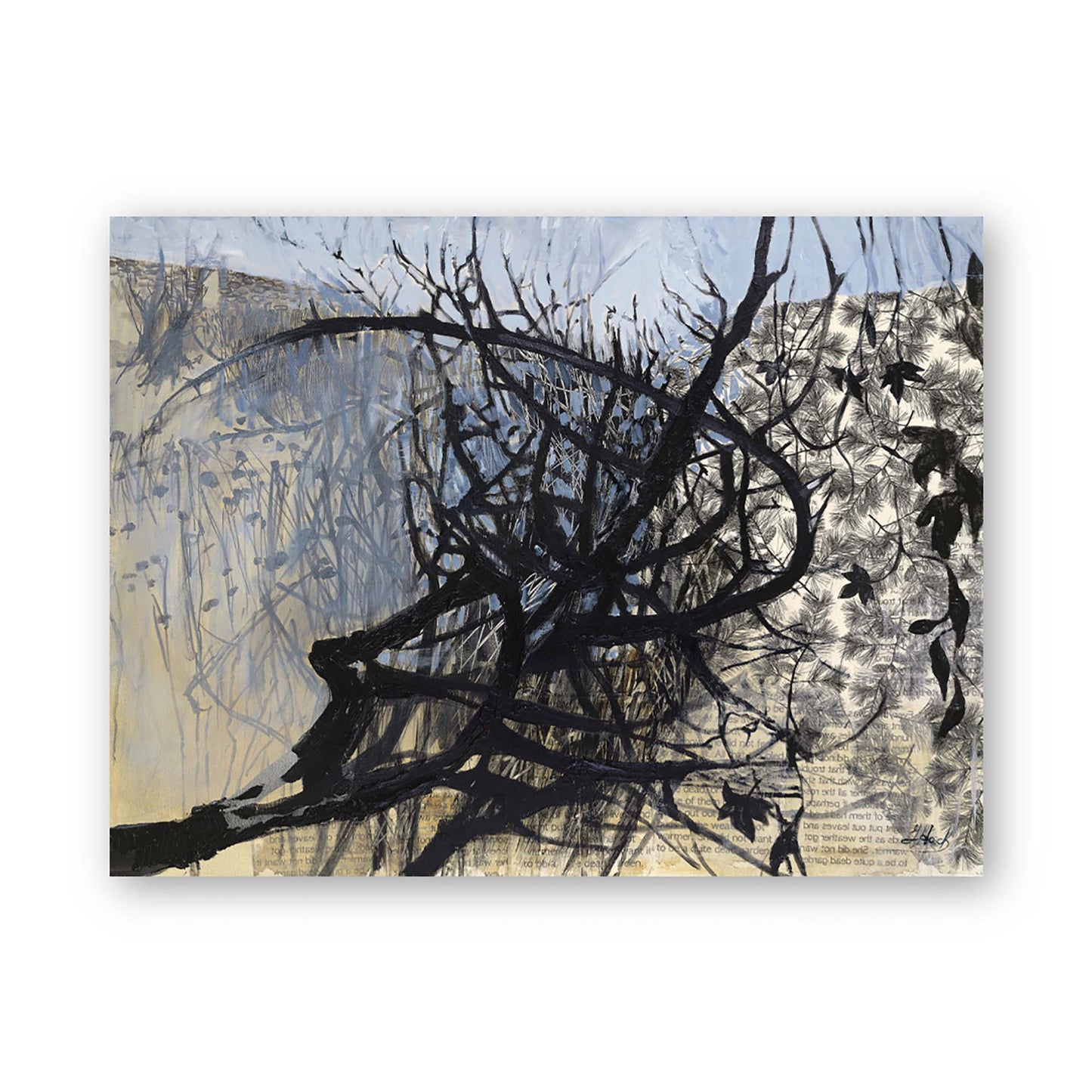 Glimmer of Hope in a Quite Dead Garden by Julia Hacker