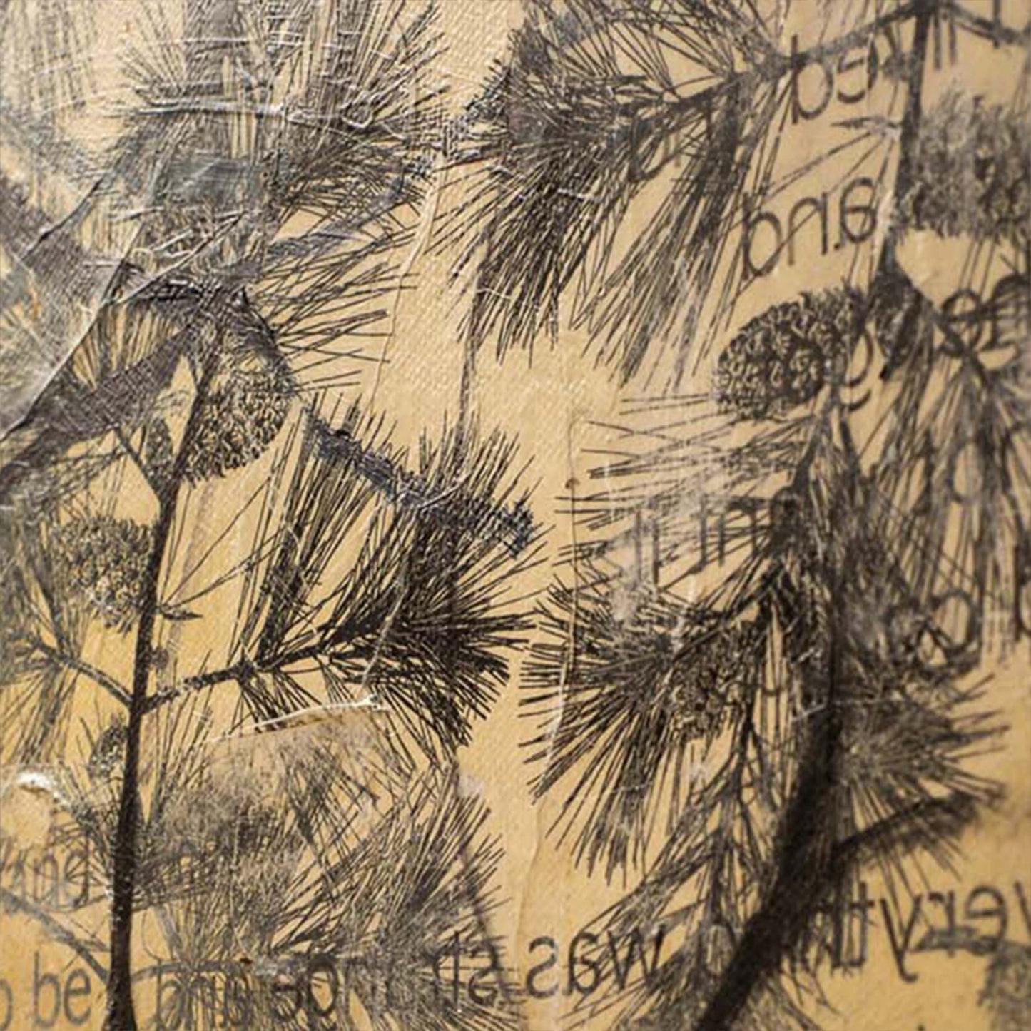 Glimmer of Hope in a Quite Dead Garden by Julia Hacker