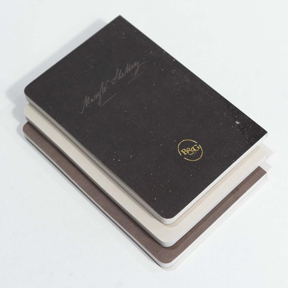 Set of 3 Pocket Journals - Portraits of Mary Shelley