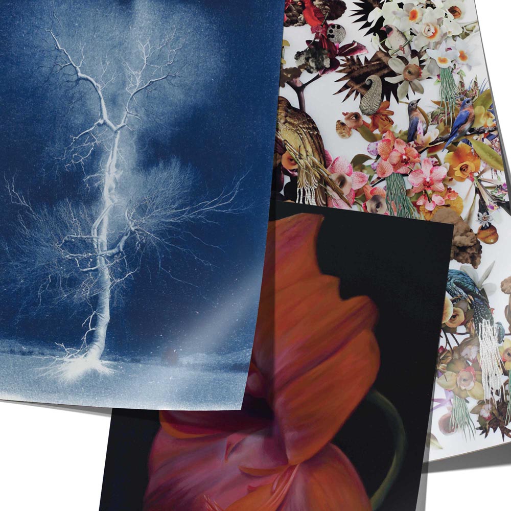 Mysteries of Creation Gift Wrap & Creative Papers Book