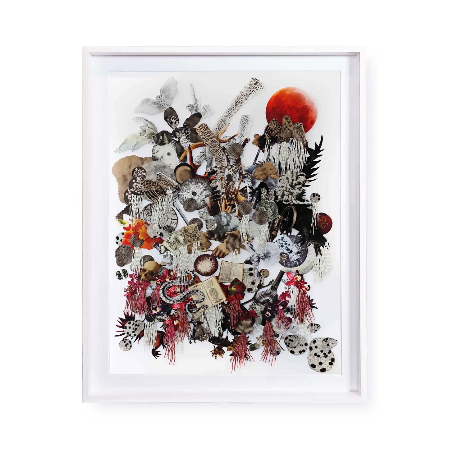 Natural Philosophy TheAlchemist by Barbara Wildenboer
