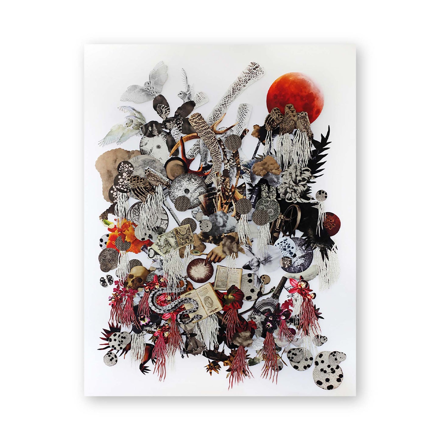Natural Philosophy TheAlchemist by Barbara Wildenboer
