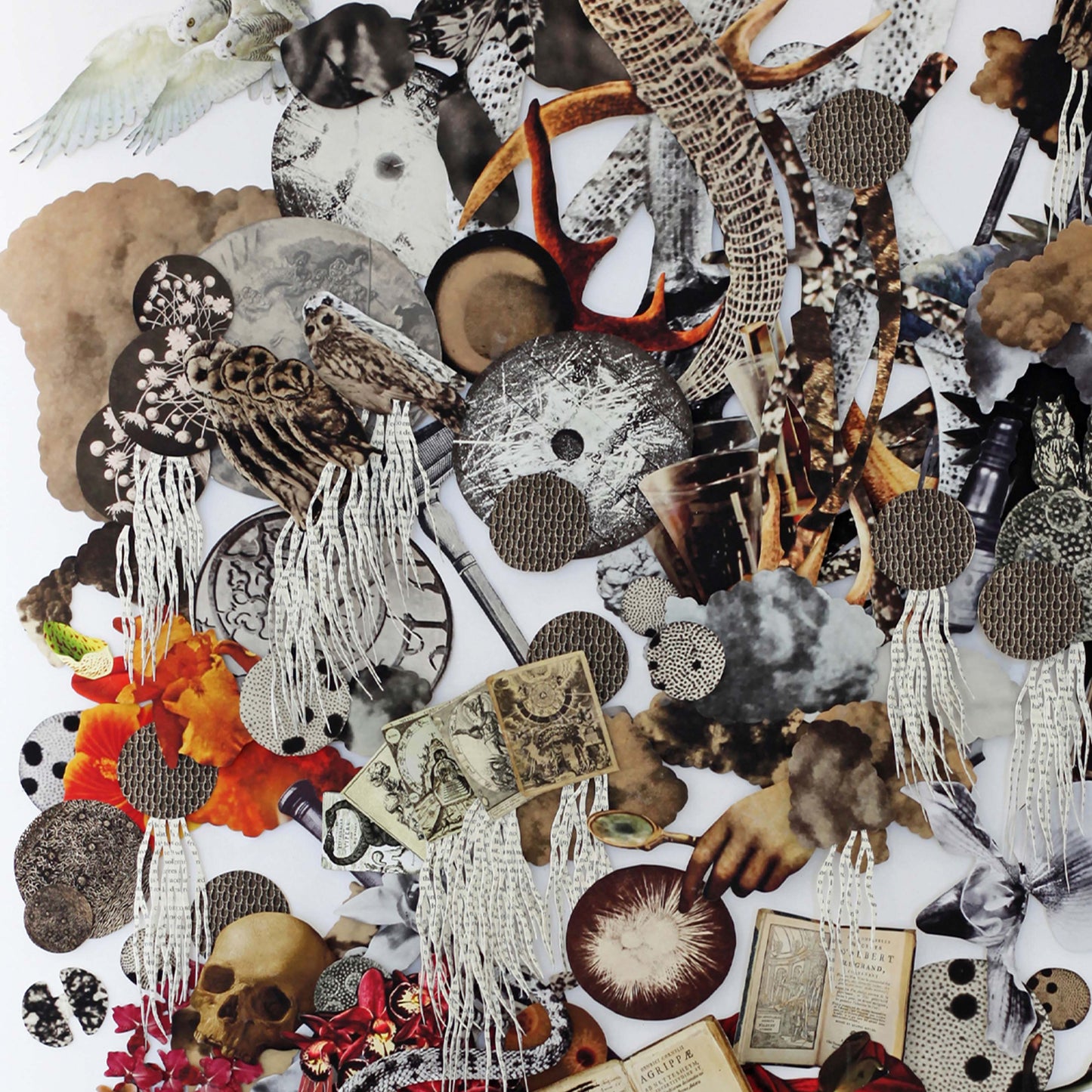Natural Philosophy TheAlchemist by Barbara Wildenboer