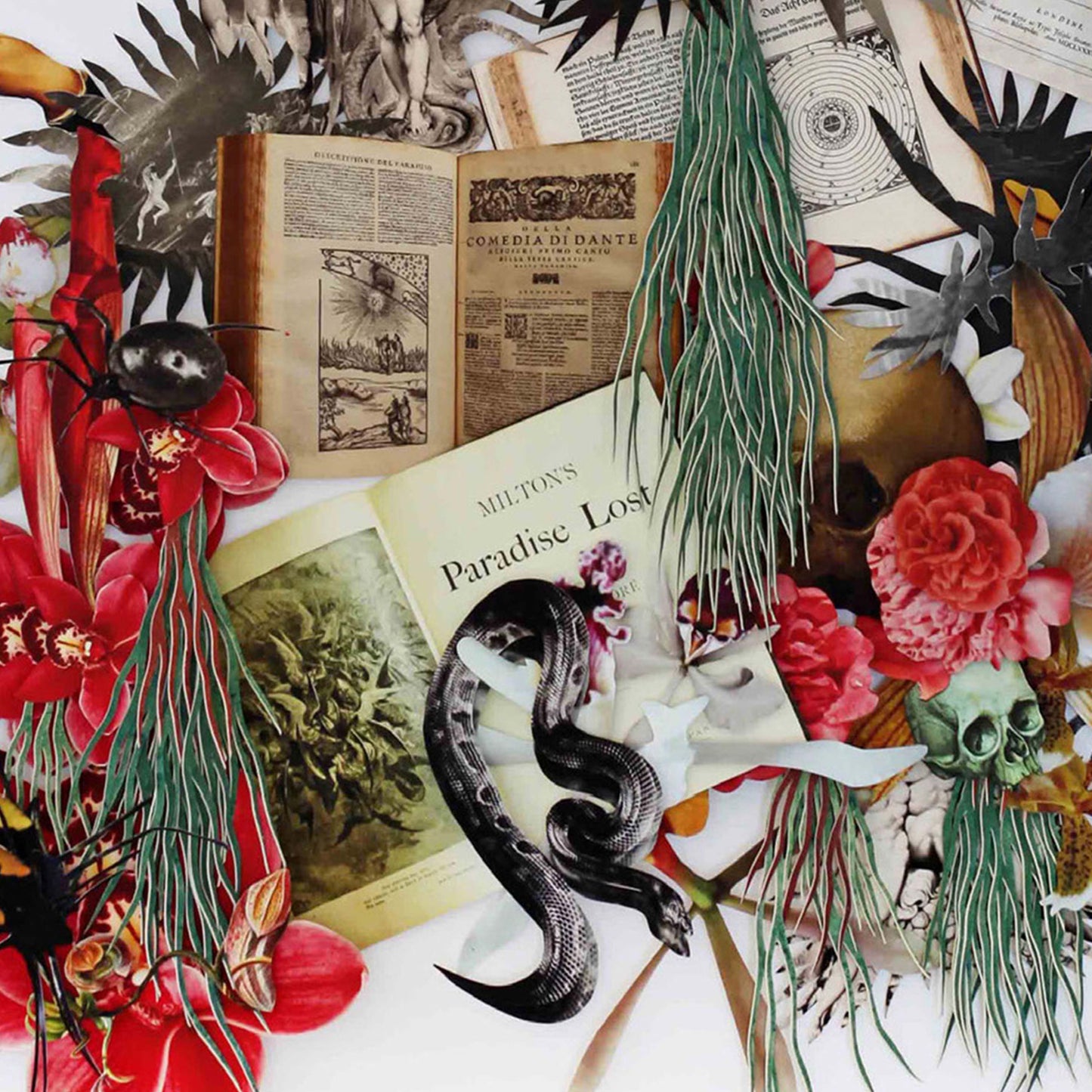 Paradise Lost by Barbara Wildenboer
