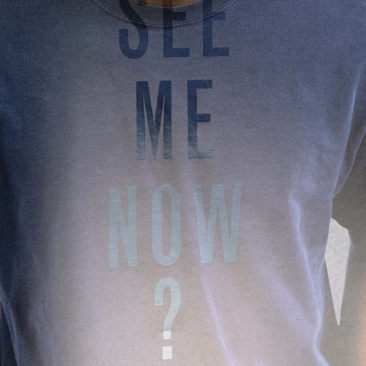 Presence of Absence Can You See Me Now by Marianetta Porter