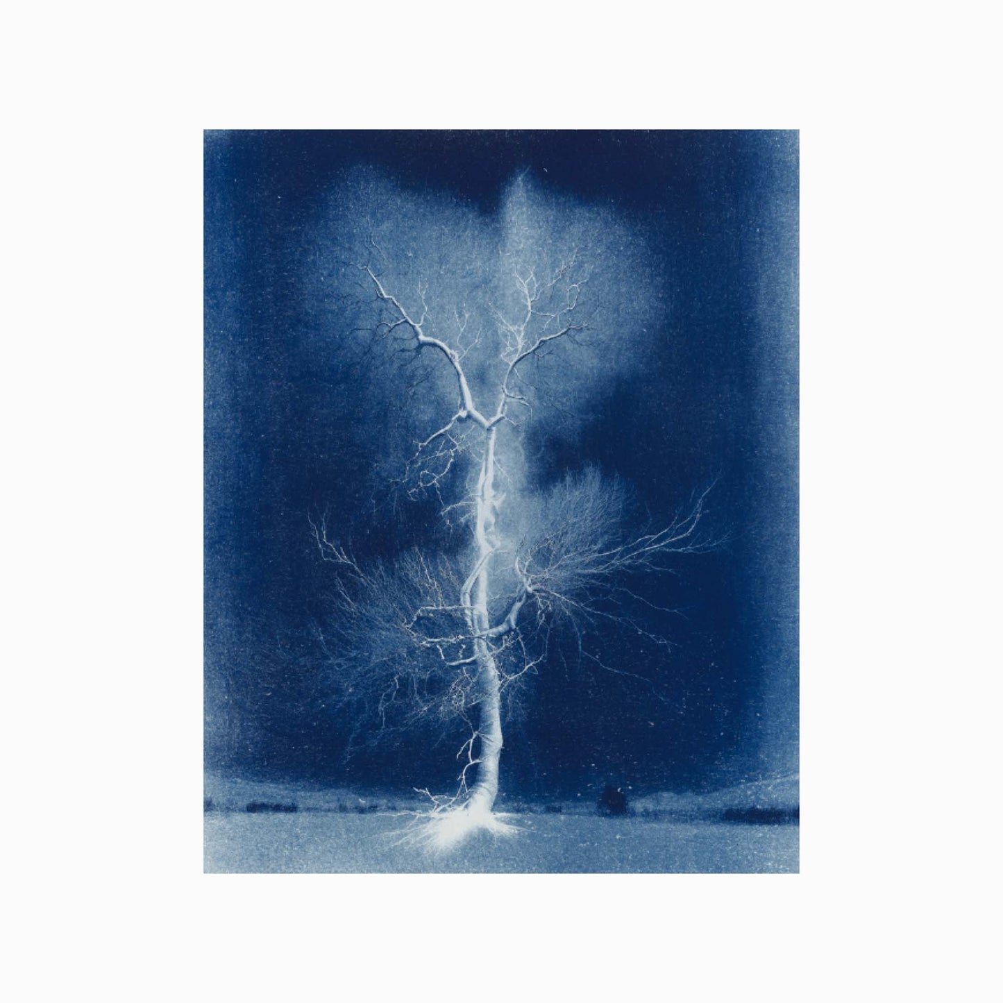 Electrified Oak Art Print