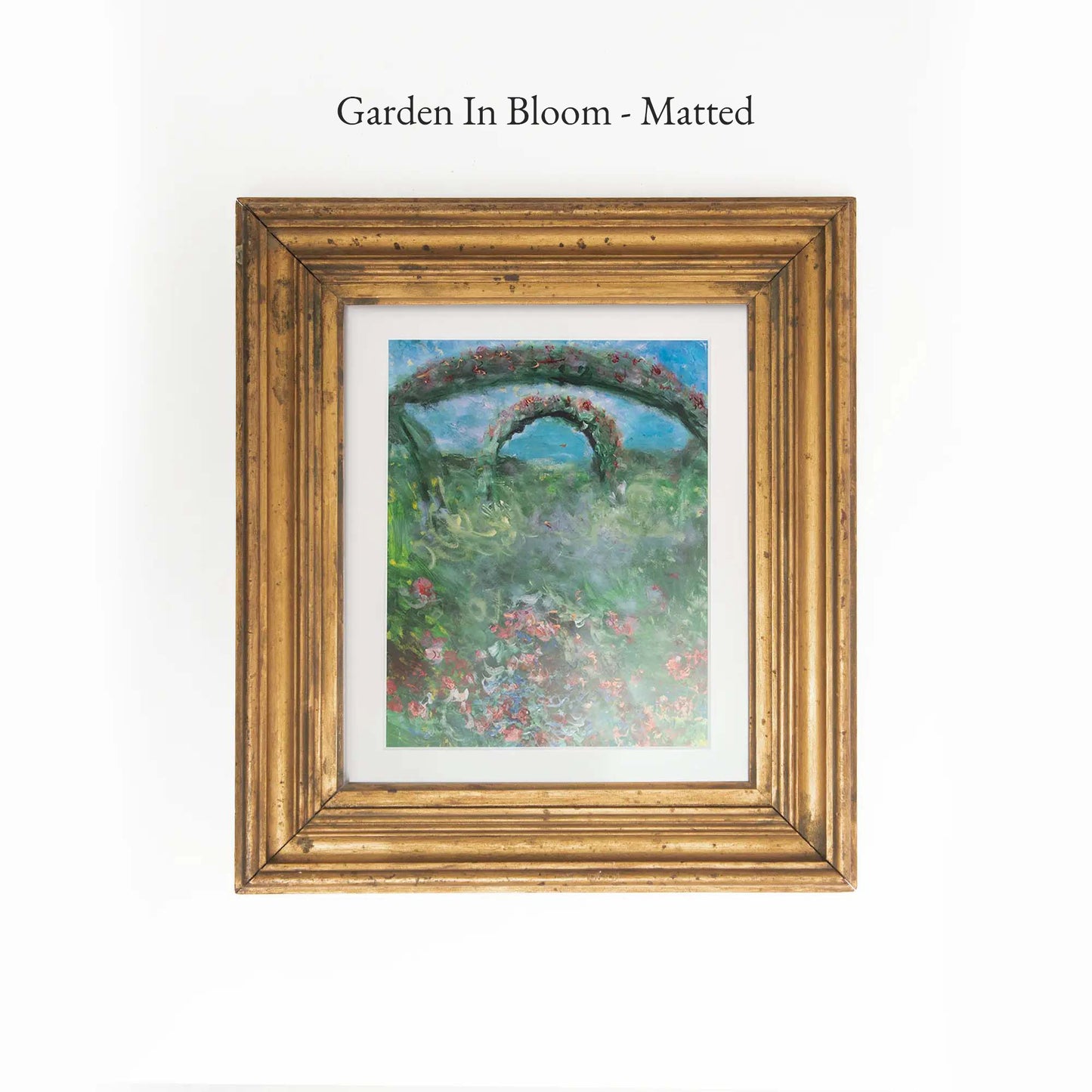 Garden In Bloom - Matte