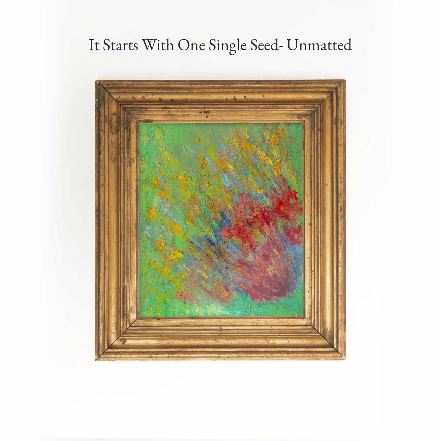 It Starts With One Single Seed - Unmatted