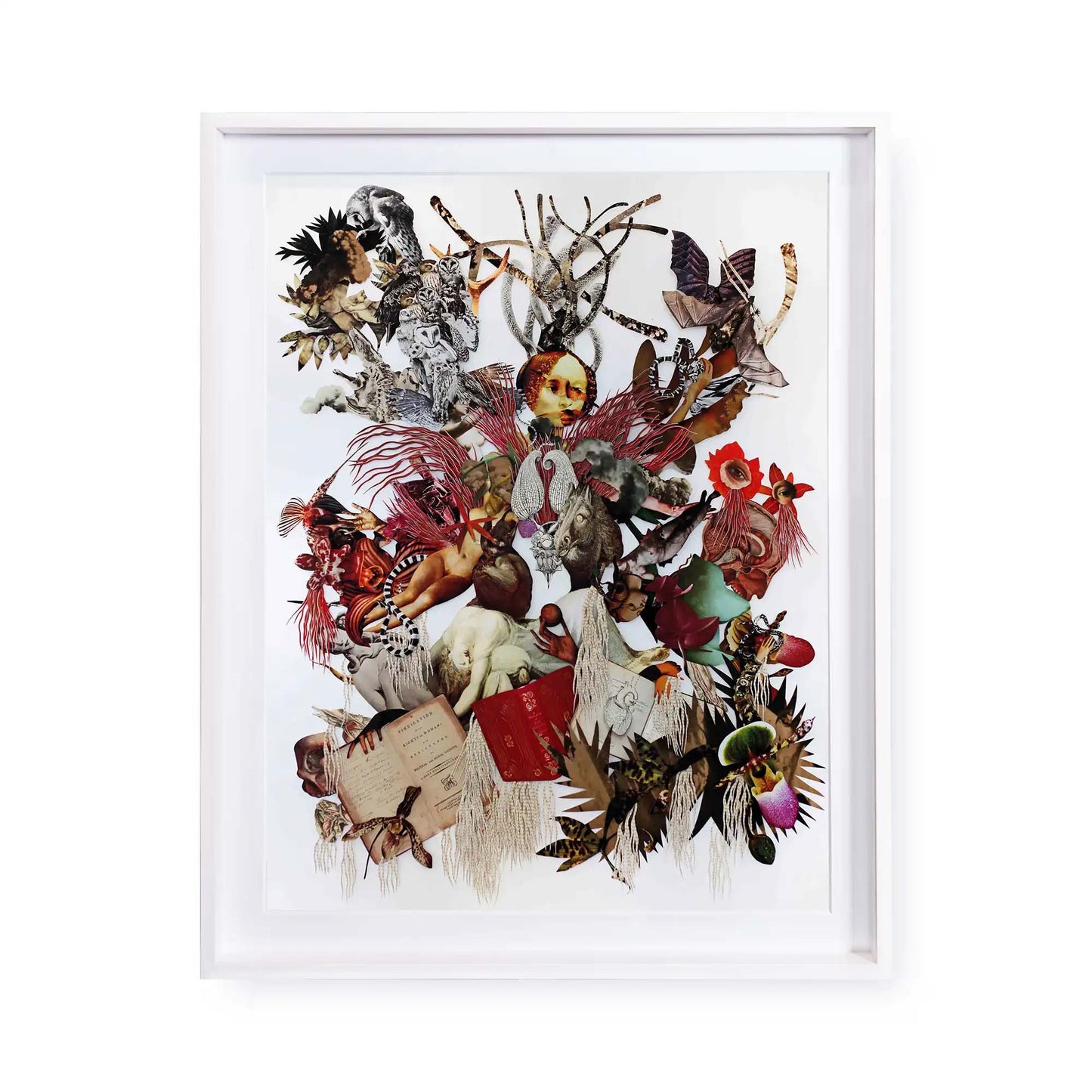 The Creation of the Female Creature by Barbara Wildenboer