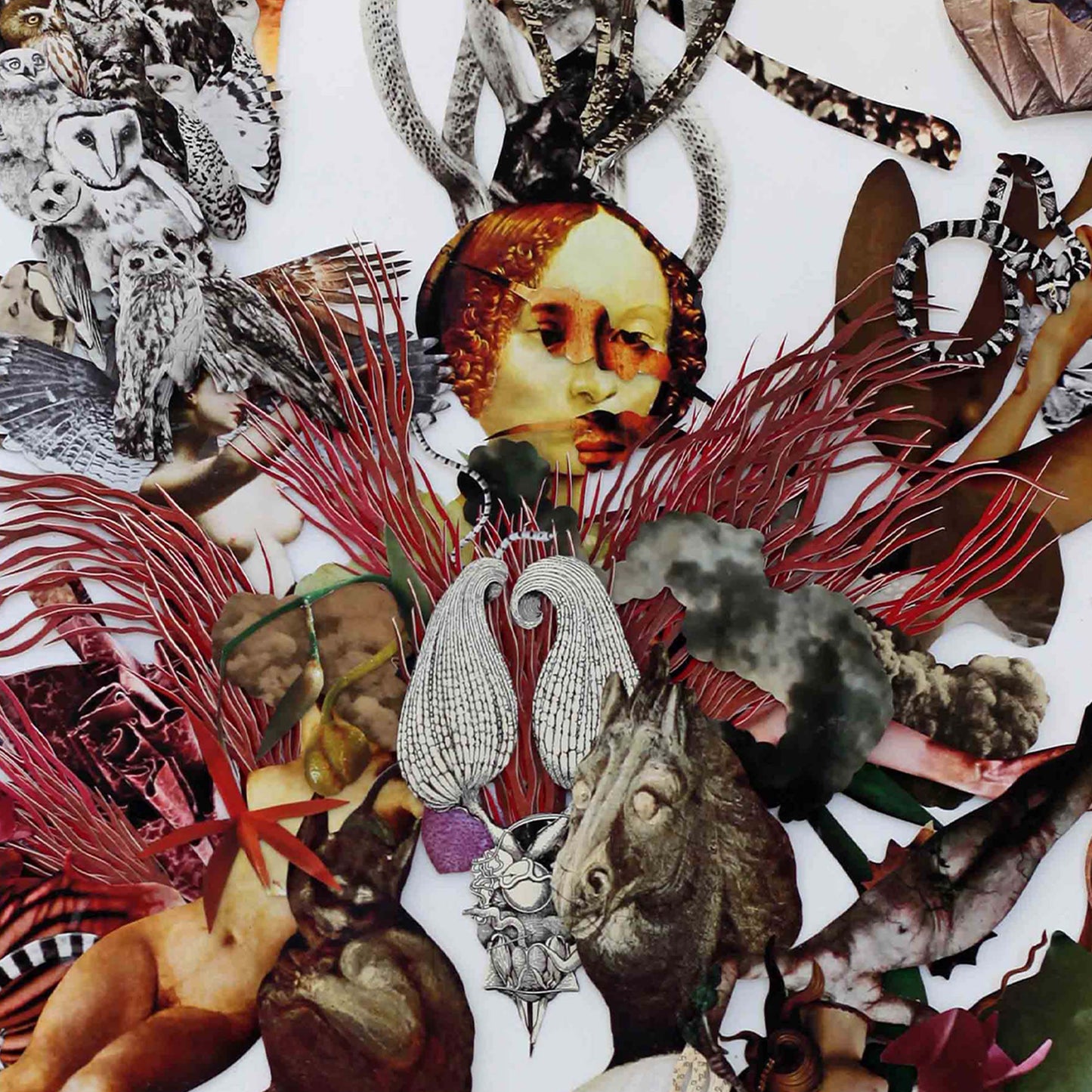 The Creation of the Female Creature by Barbara Wildenboer