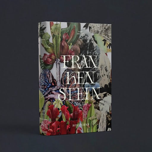 TRANSFER | FSTN Standard Art Novel