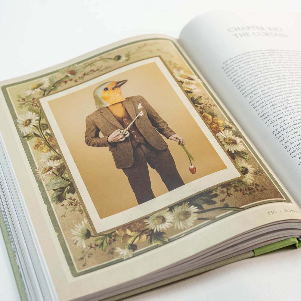 The Secret Garden Art Novel™ Collector's Edition