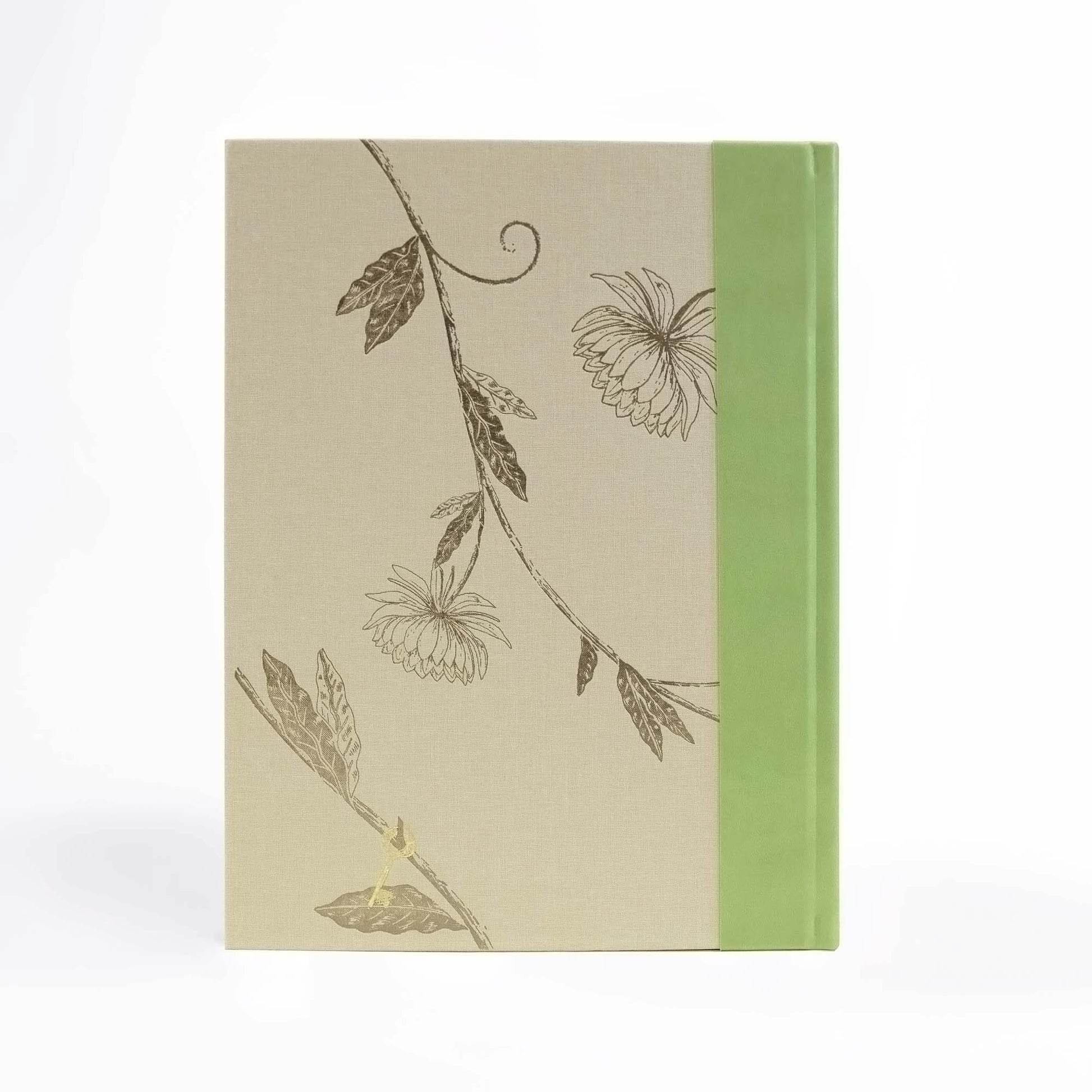 The Secret Garden Art Novel™ Collector's Edition