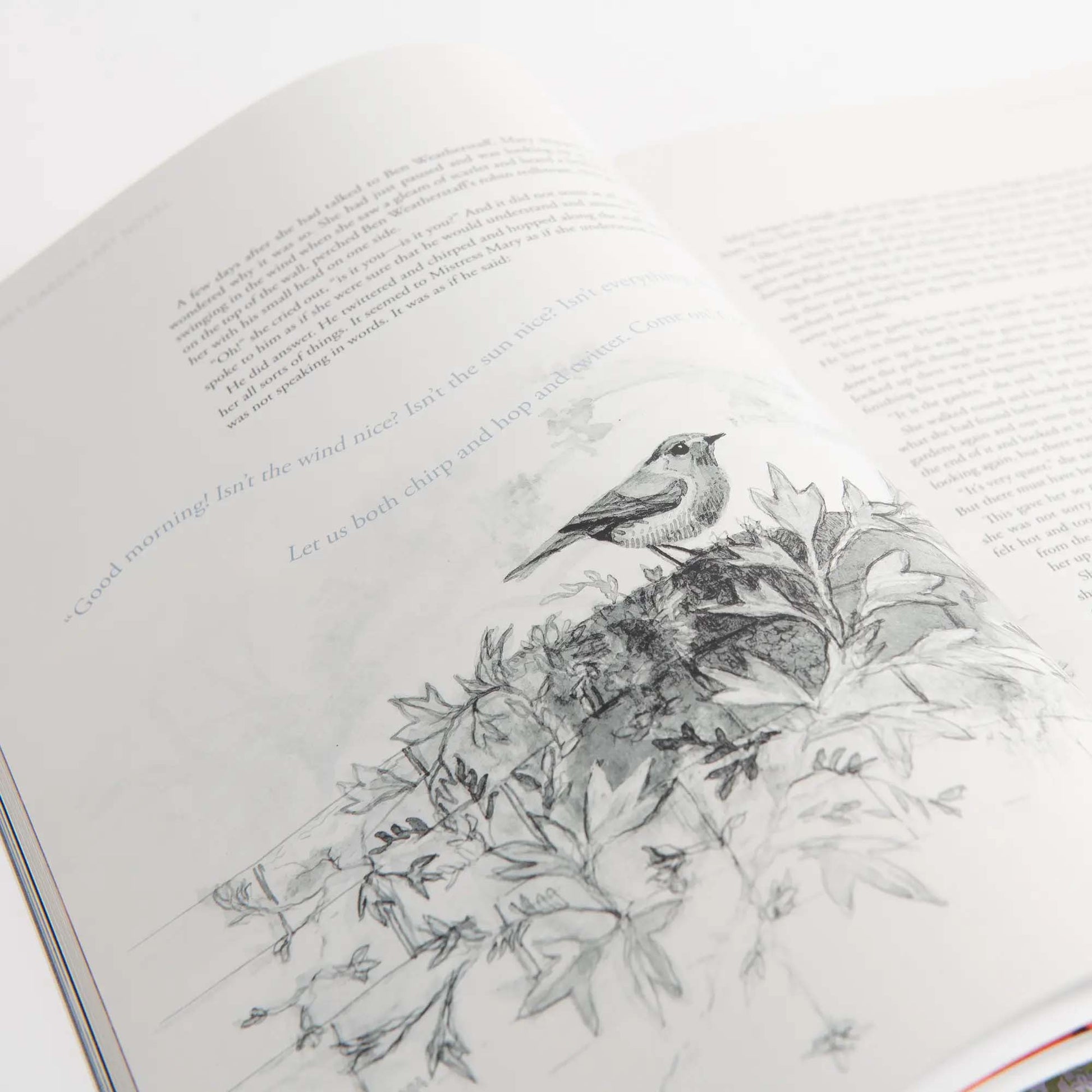 The Secret Garden Art Novel™ Collector's Edition