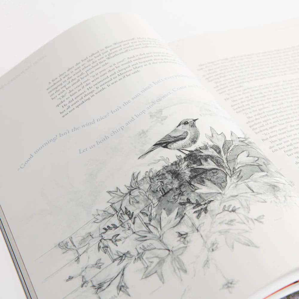 The Secret Garden Art Novel™ Collector's Edition