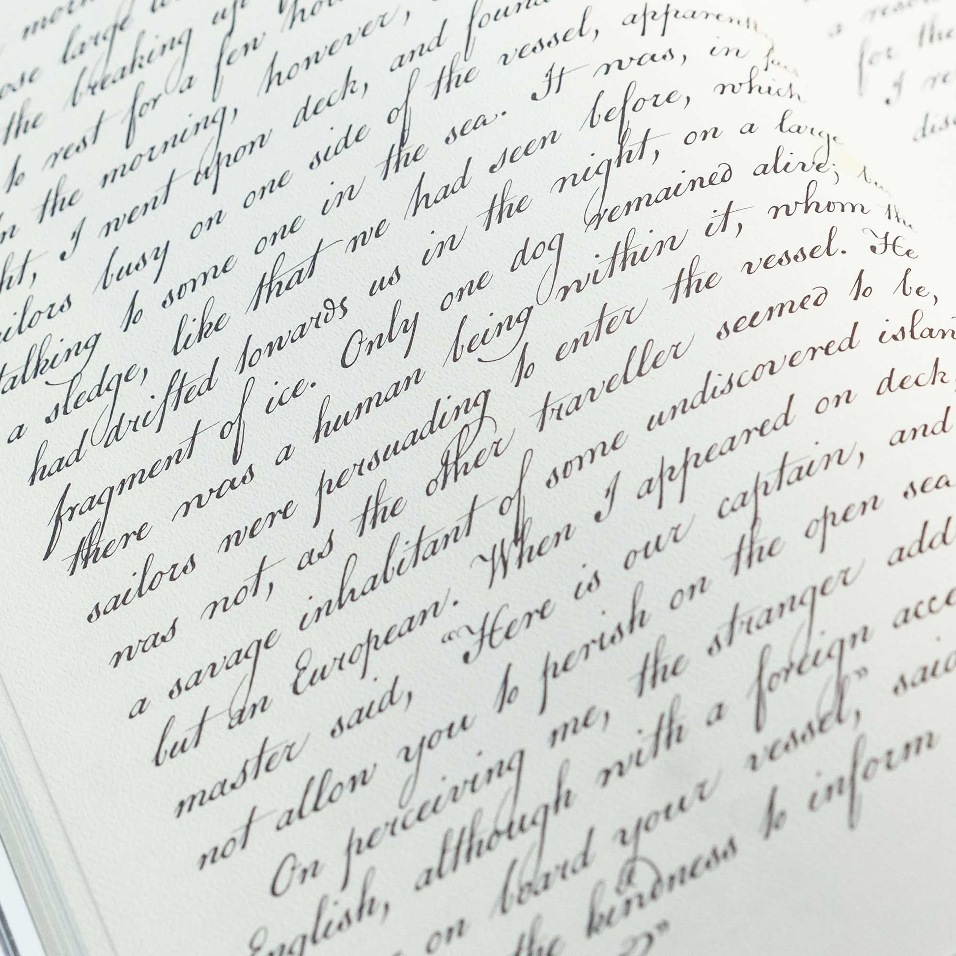 Frankenstein Art Novel