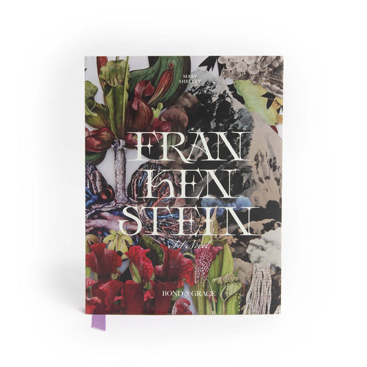 Frankenstein Art Novel
