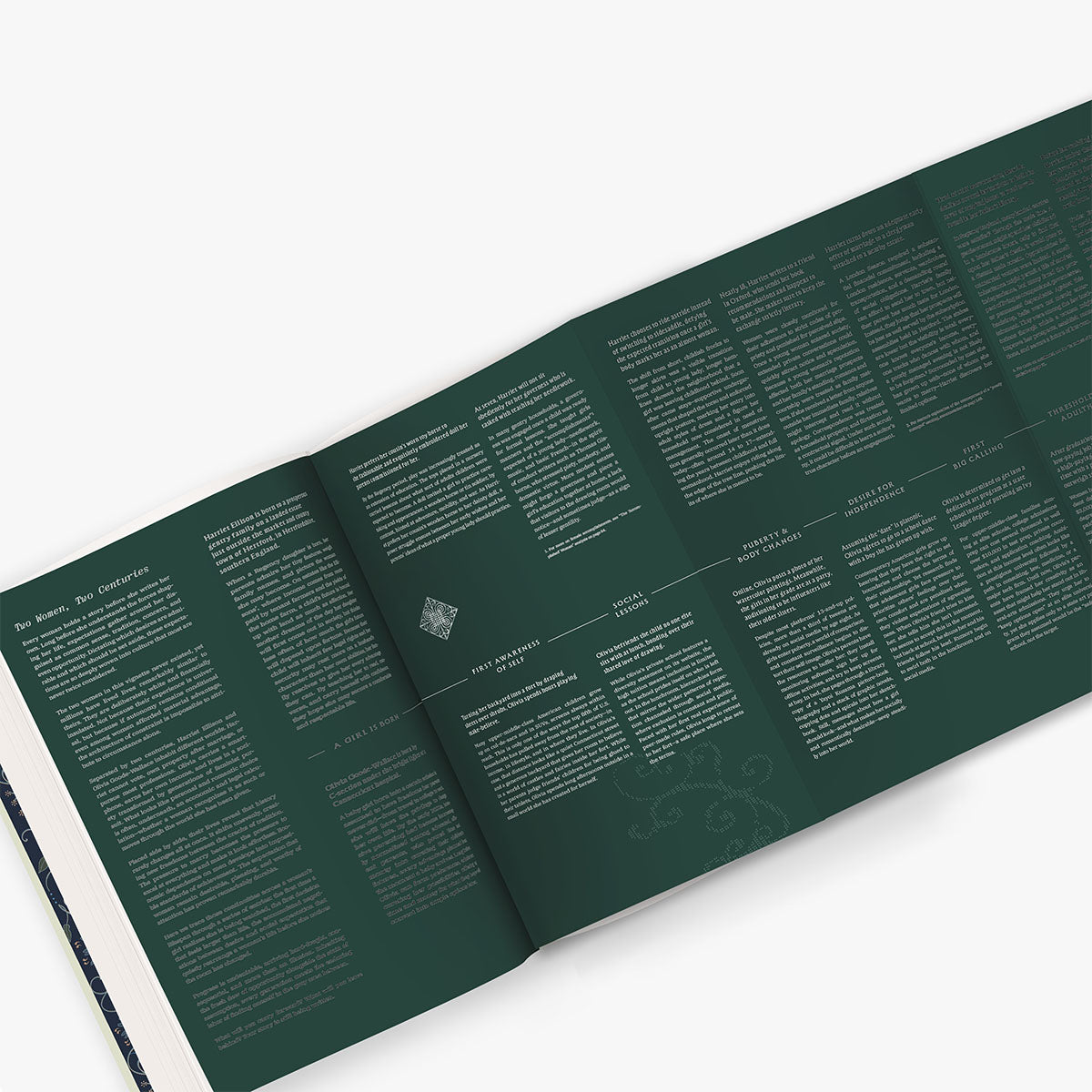 Pride and Prejudice Art Novel™ Collector's Edition