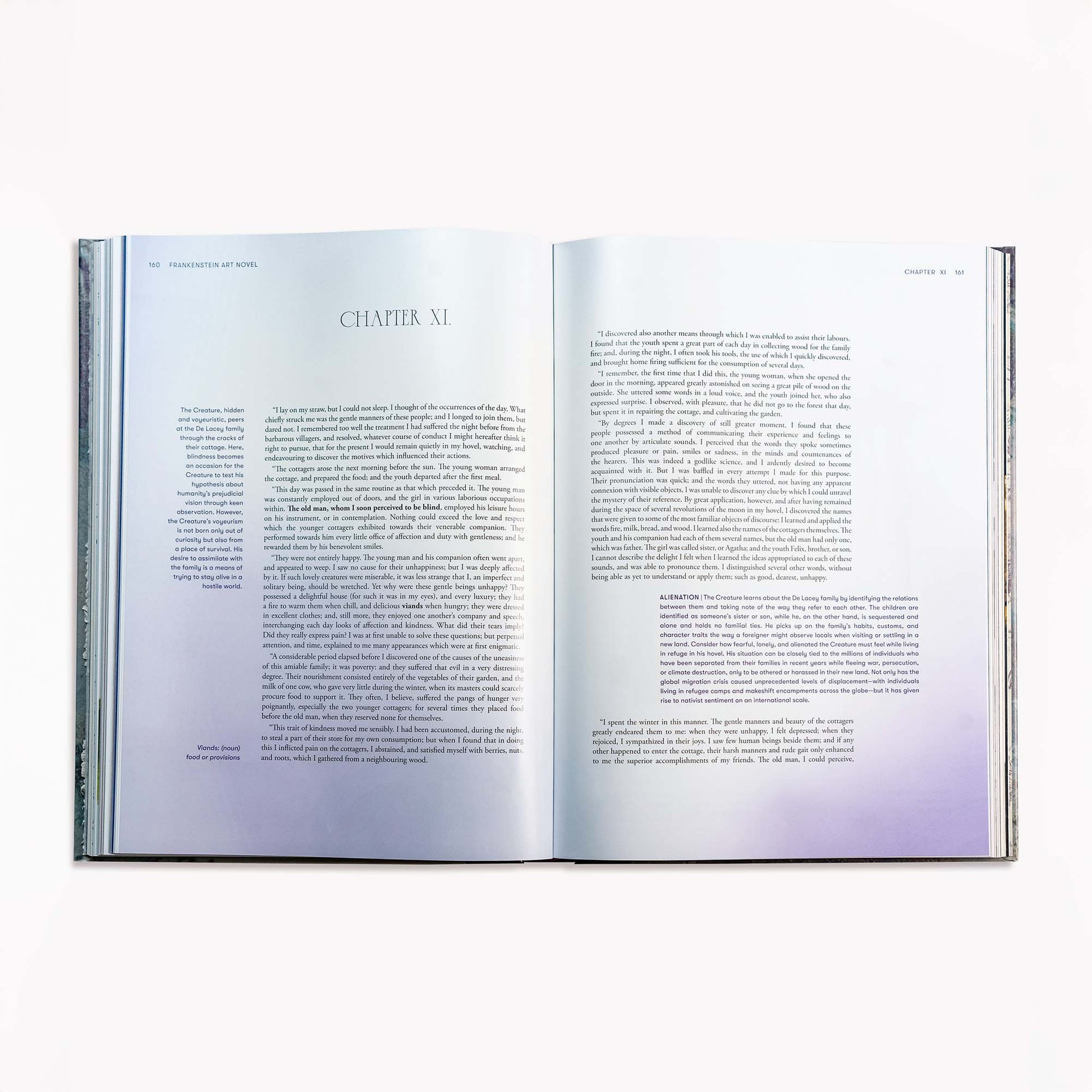 Frankenstein Art Novel