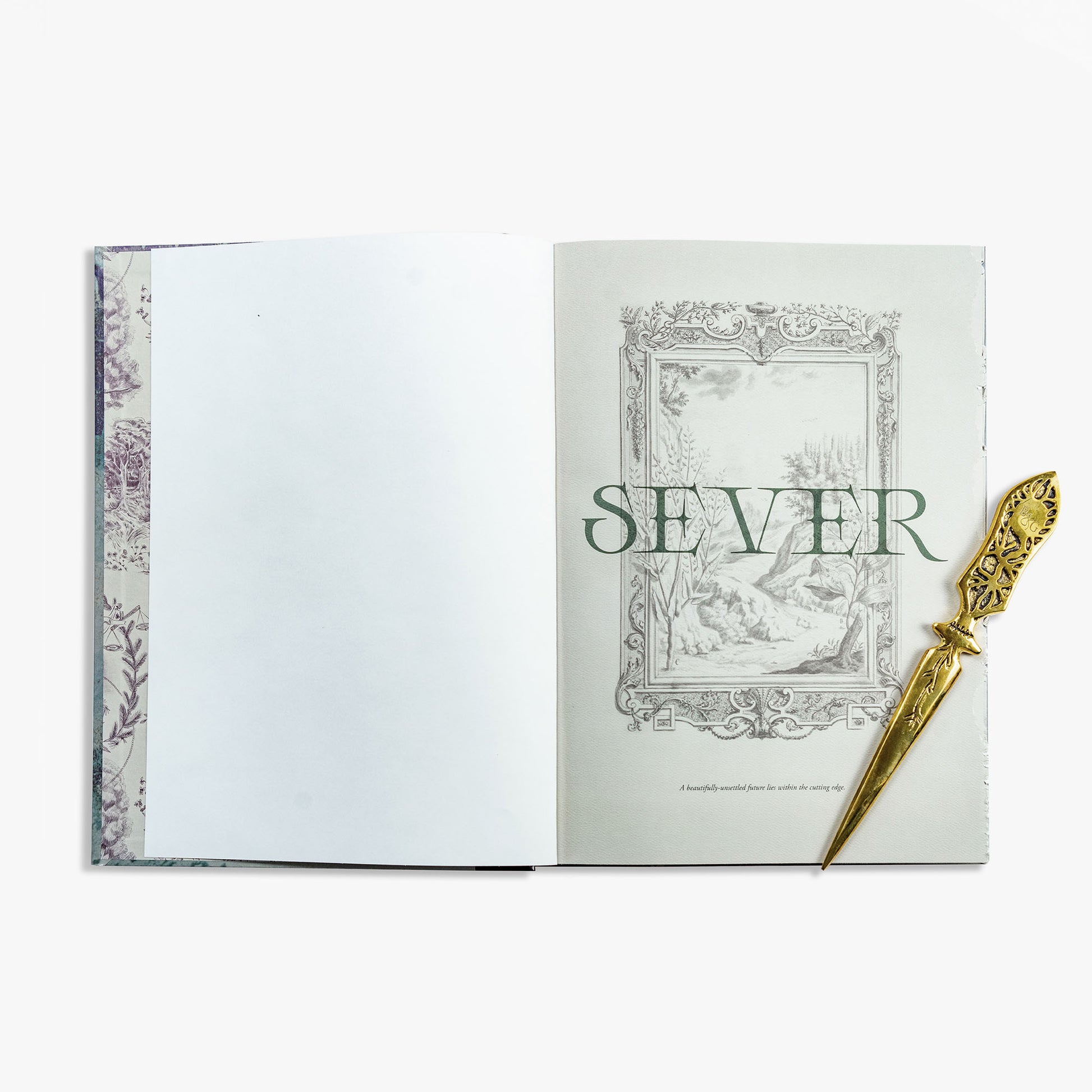 Frankenstein Art Novel™ Collector's Edition