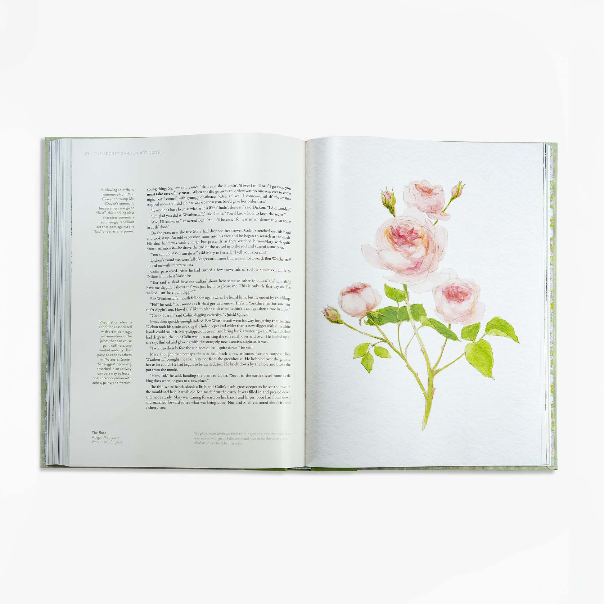 The Secret Garden Art Novel™ Collector's Edition