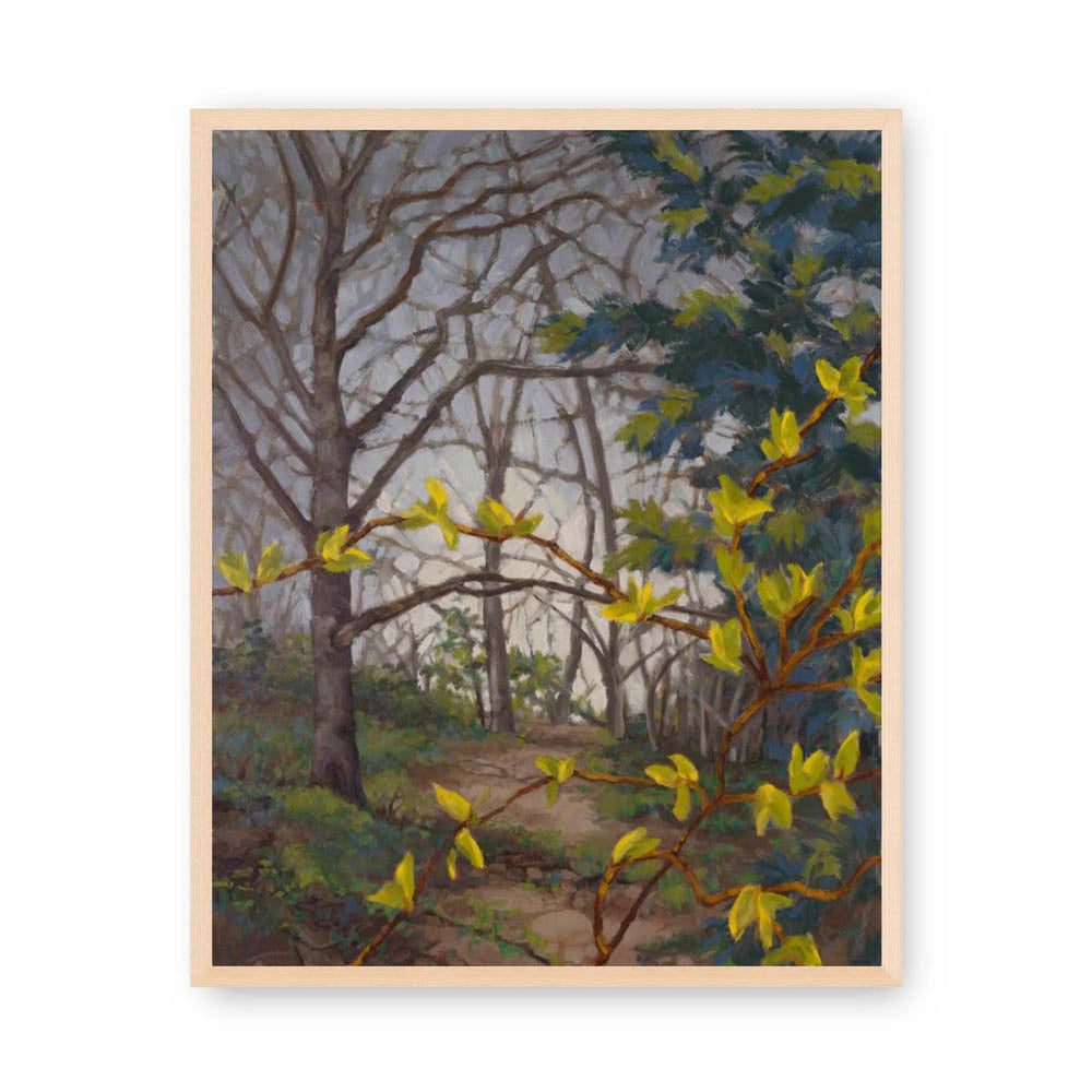 A Distant Hope by Anne Corlett 