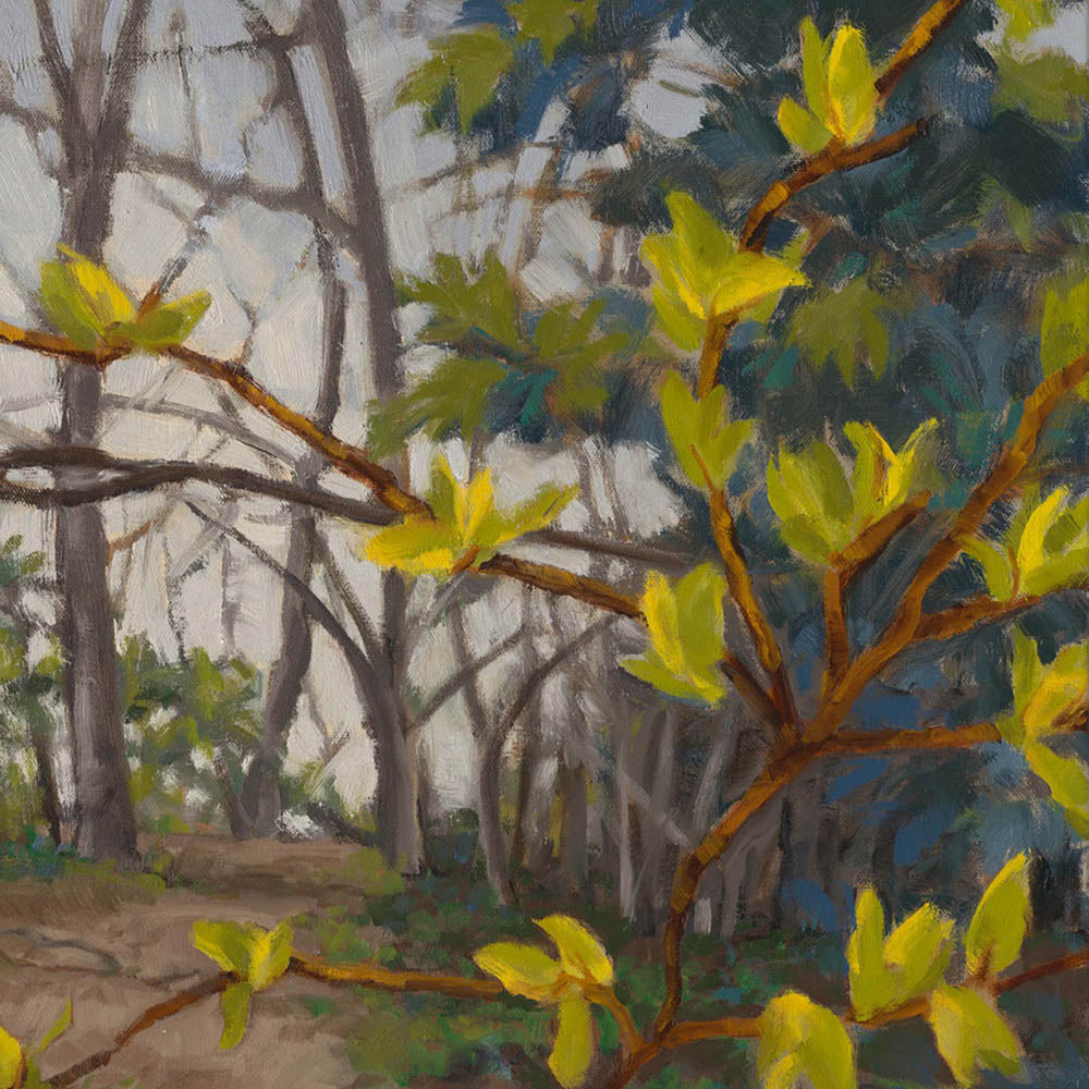 A Distant Hope by Anne Corlett 